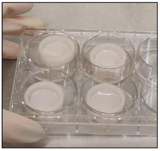 Life 12 01216 g0a1 550