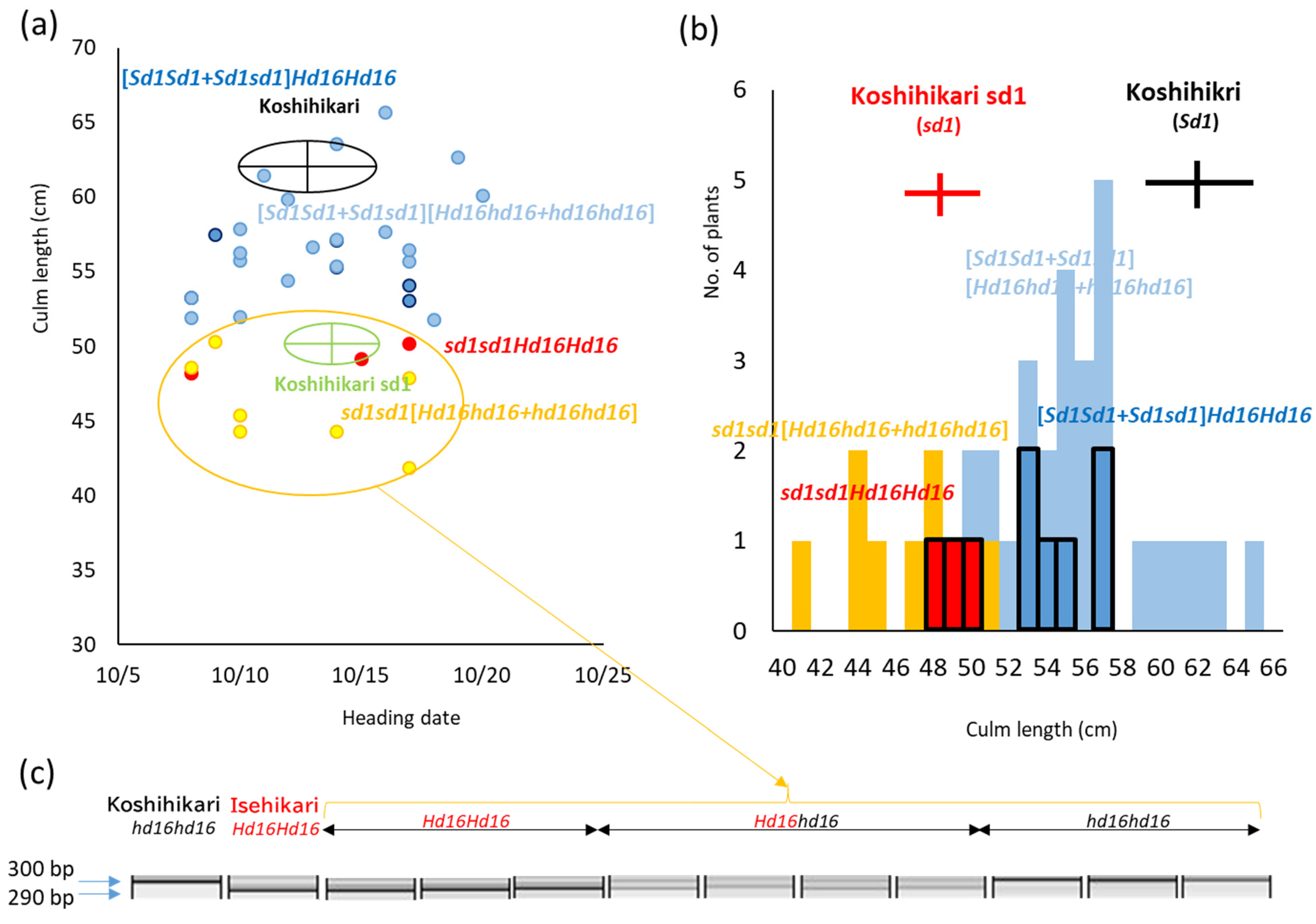 Life 12 01237 g005 Life 12 01237 g005