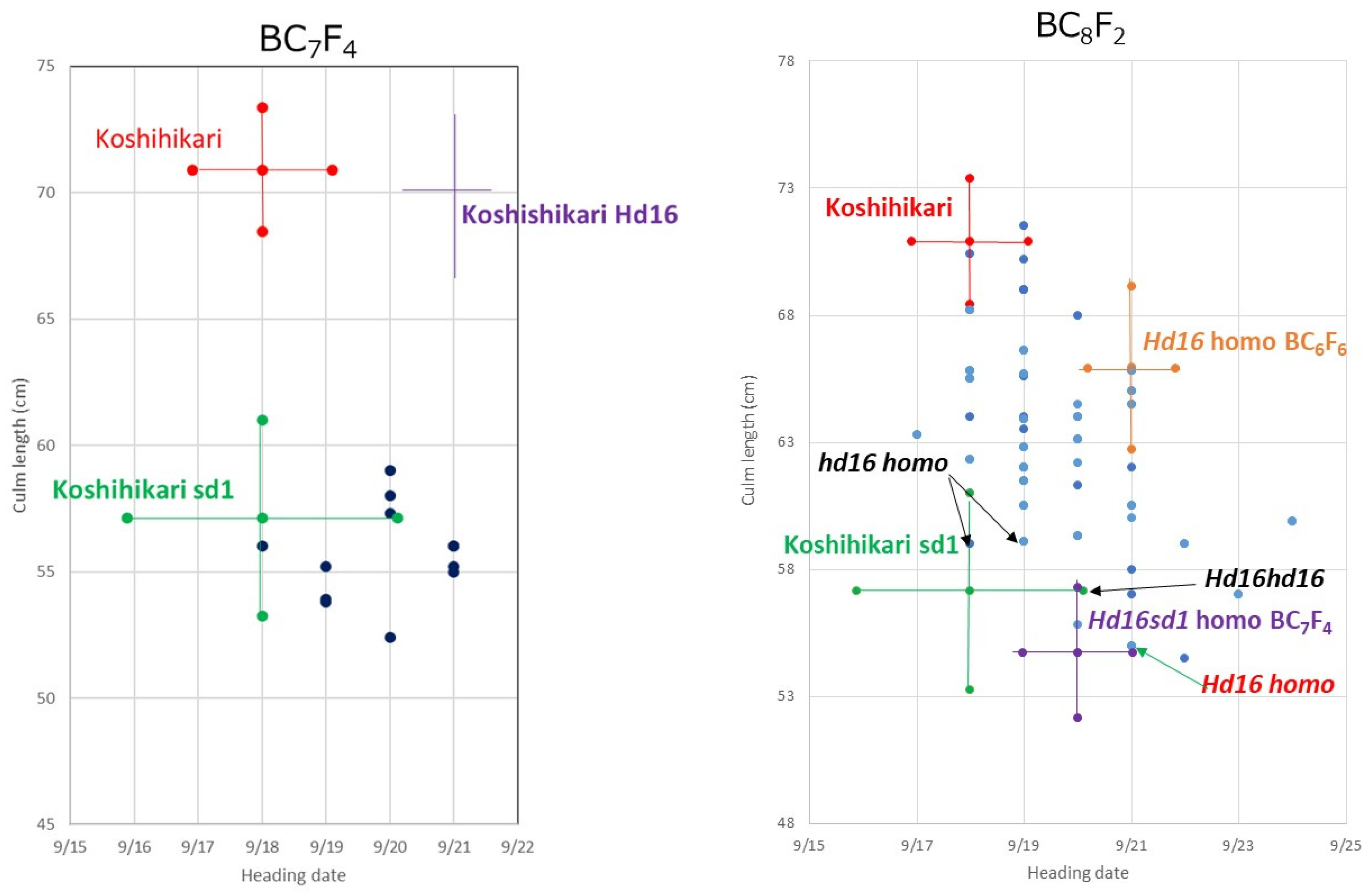 Life 12 01237 g006 Life 12 01237 g006