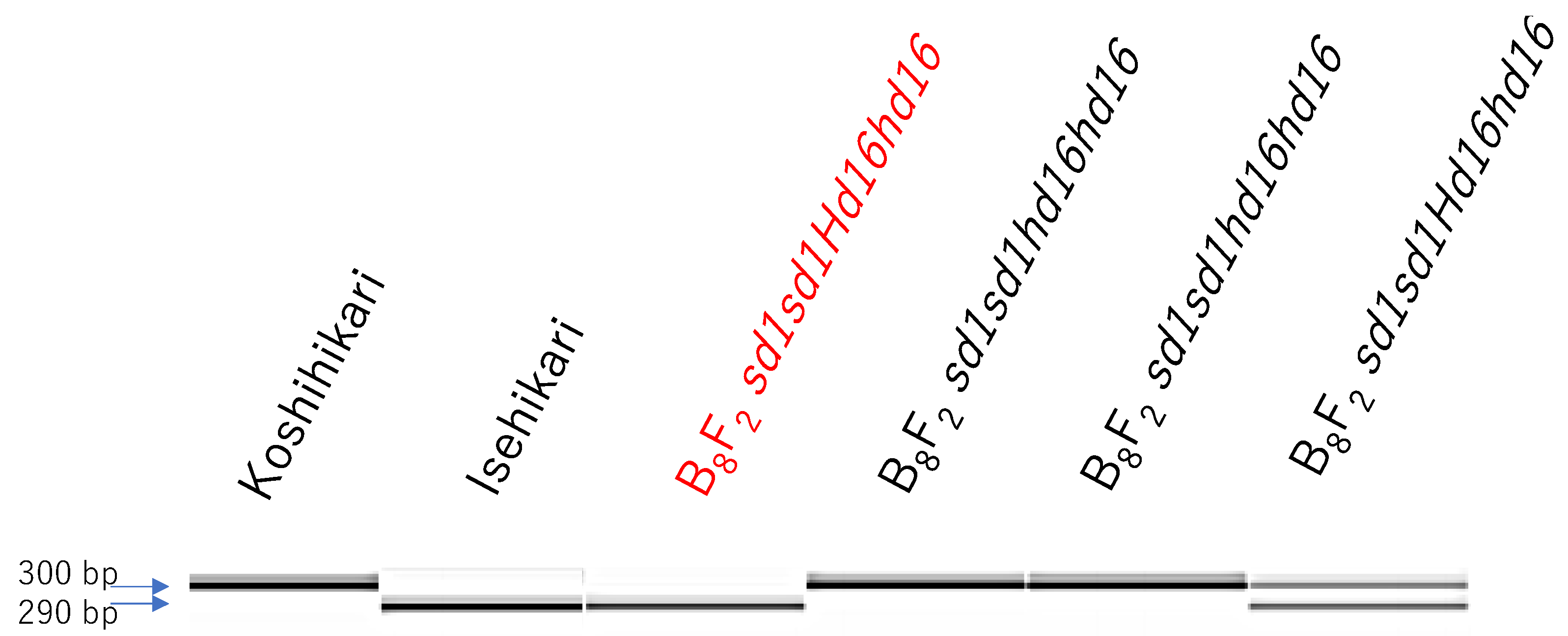 Life 12 01237 g007 Life 12 01237 g007