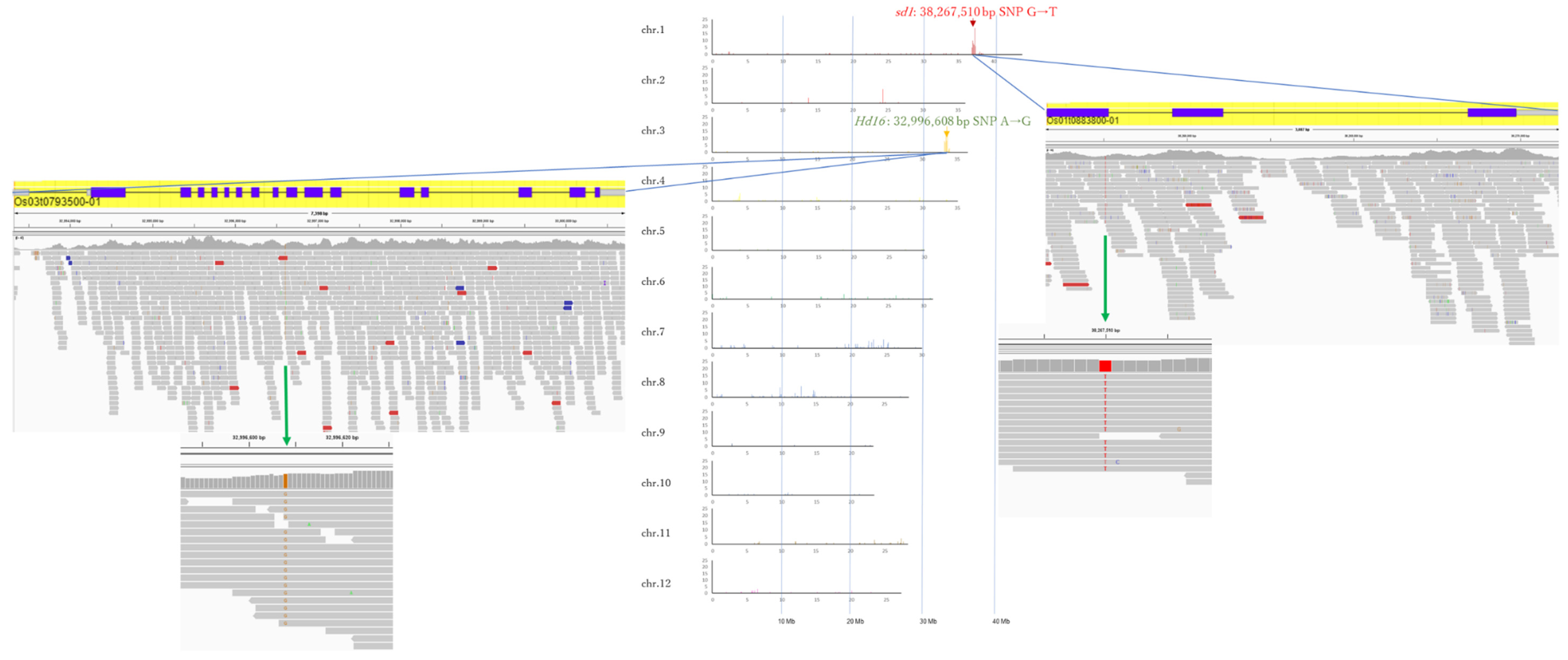 Life 12 01237 g009 Life 12 01237 g009