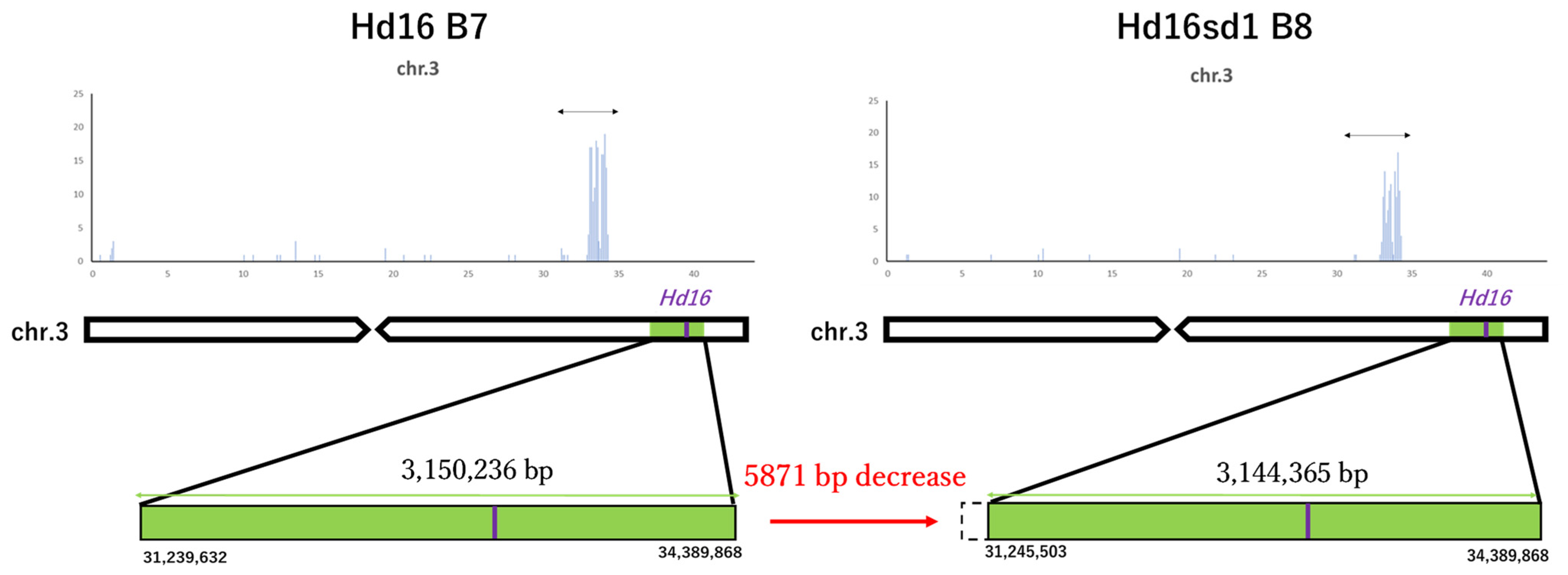 Life 12 01237 g010 Life 12 01237 g010