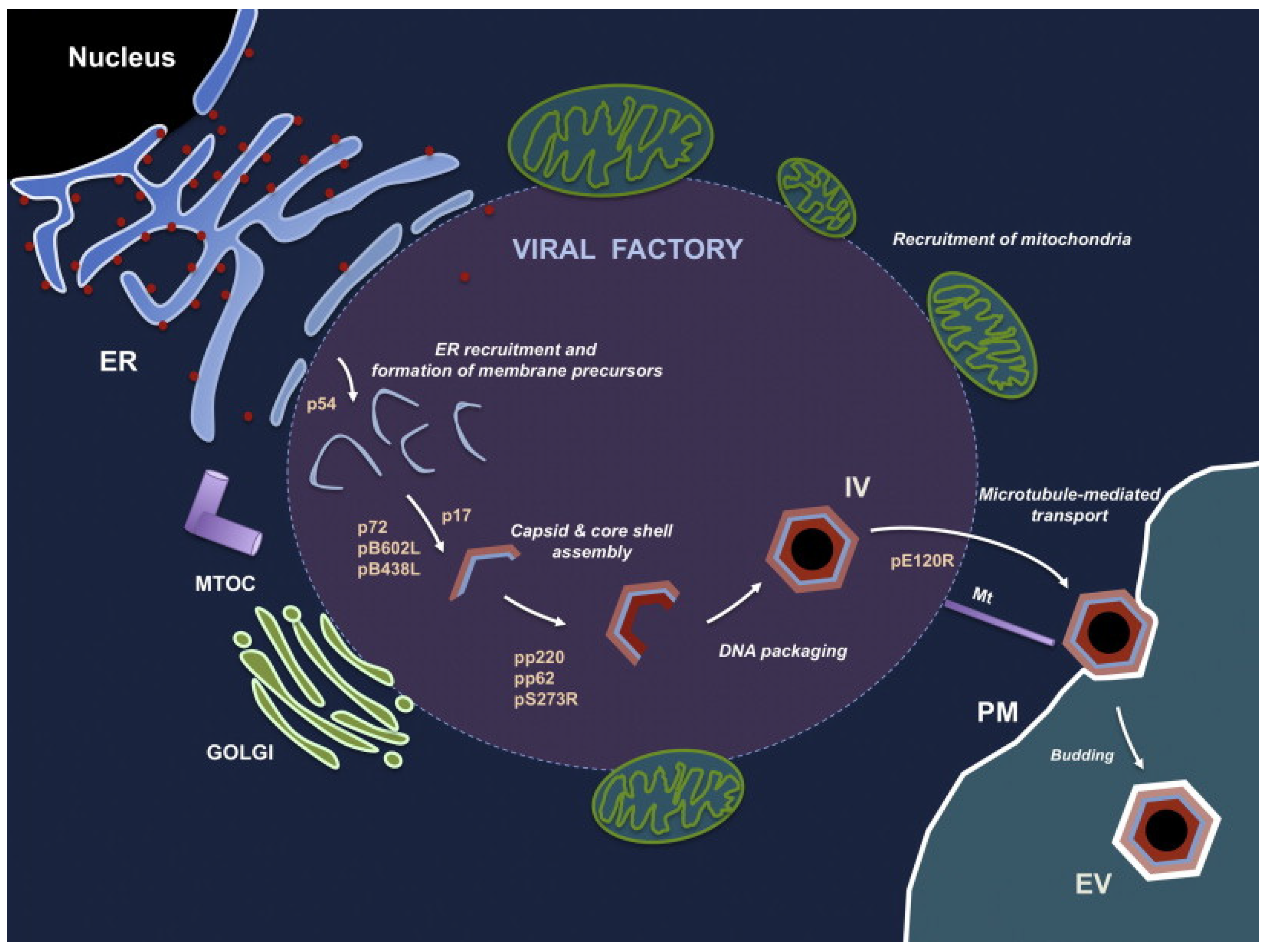 Life 12 01255 g004 Life 12 01255 g004