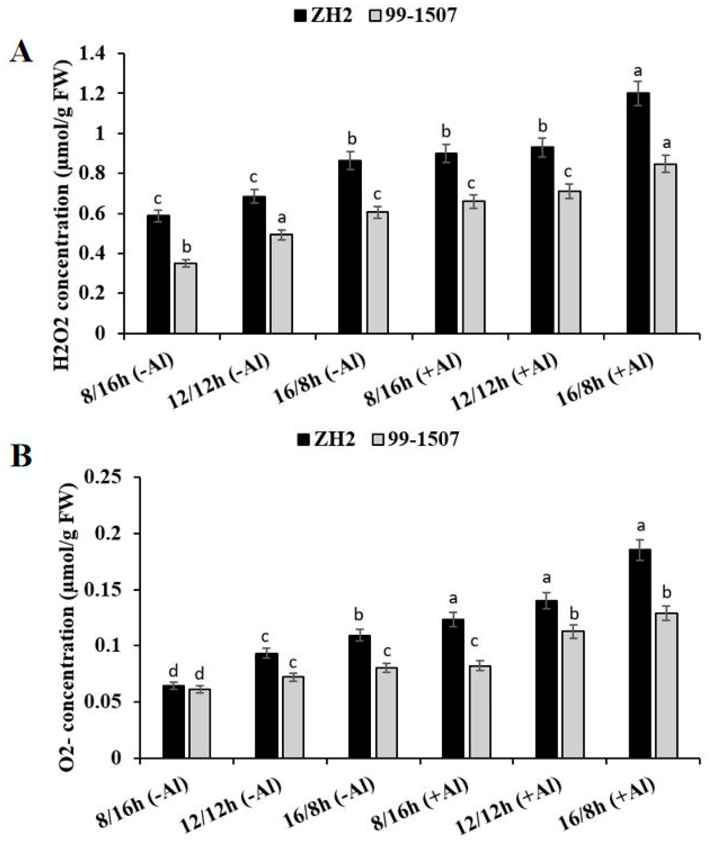 Life 12 01271 g003 Life 12 01271 g003