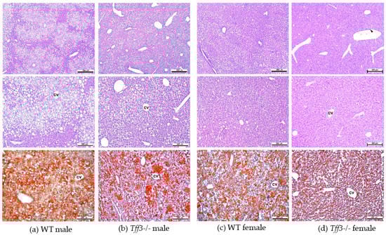 Life 12 01288 g004 550