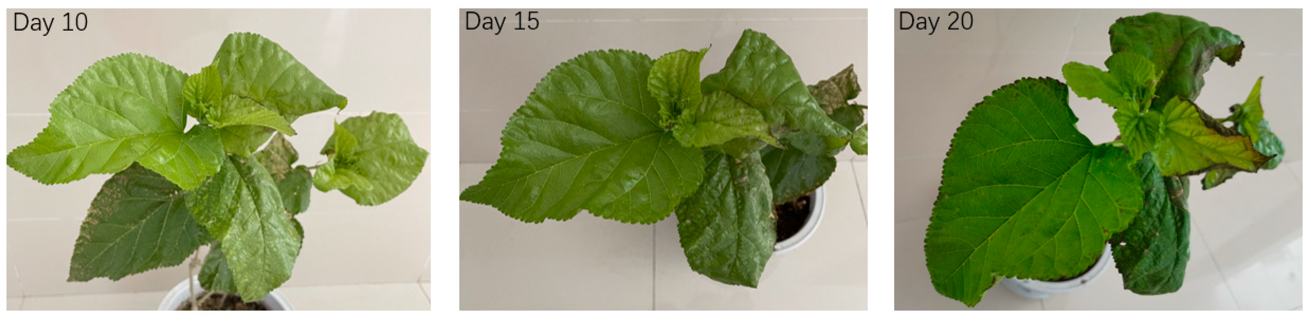 Life 12 01311 g001 Life 12 01311 g001