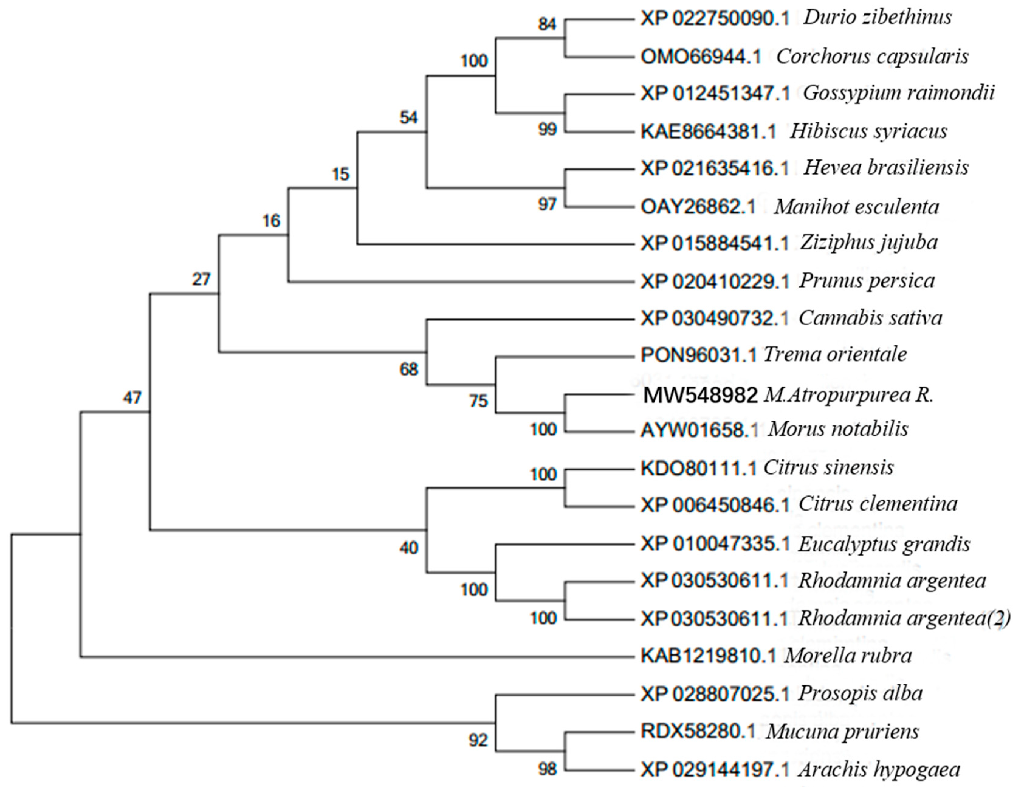Life 12 01311 g002 Life 12 01311 g002
