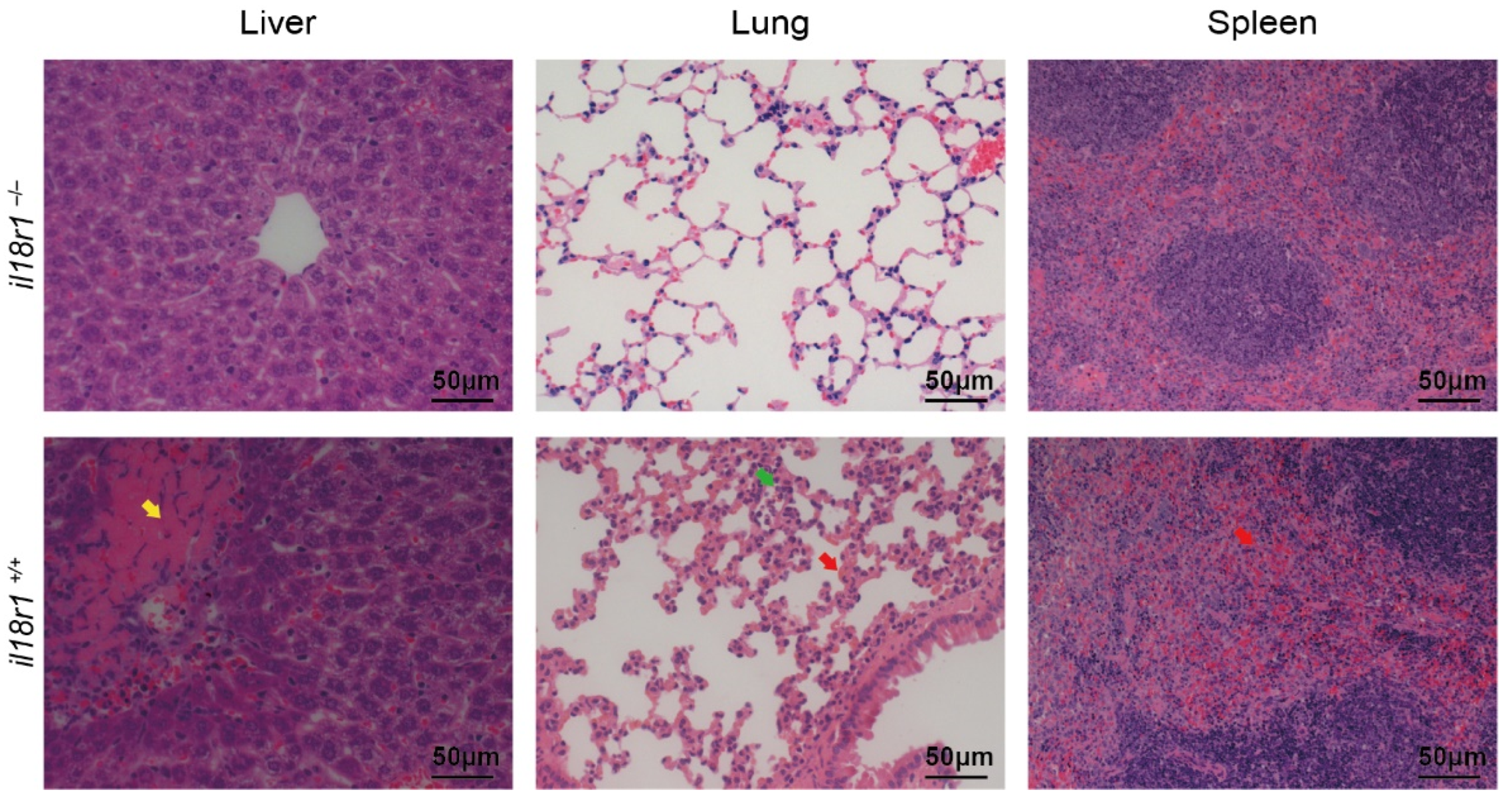 Life 12 01324 g003 Life 12 01324 g003