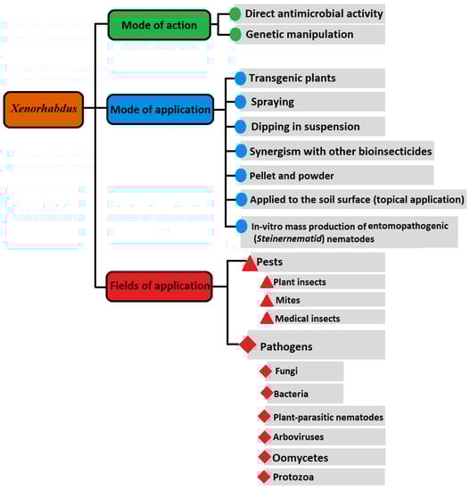 Life 12 01360 g001 550