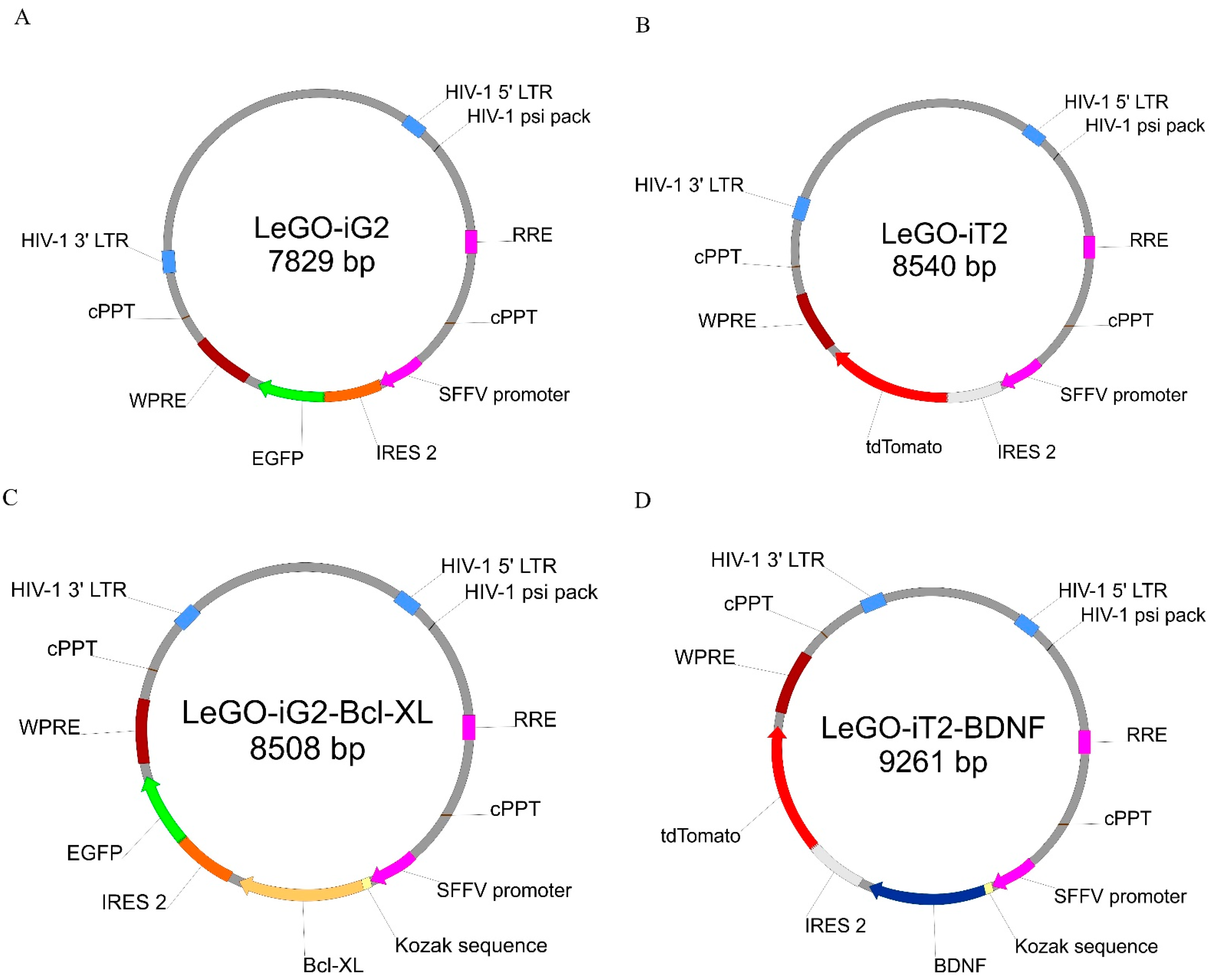 Life 12 01406 g002 Life 12 01406 g002