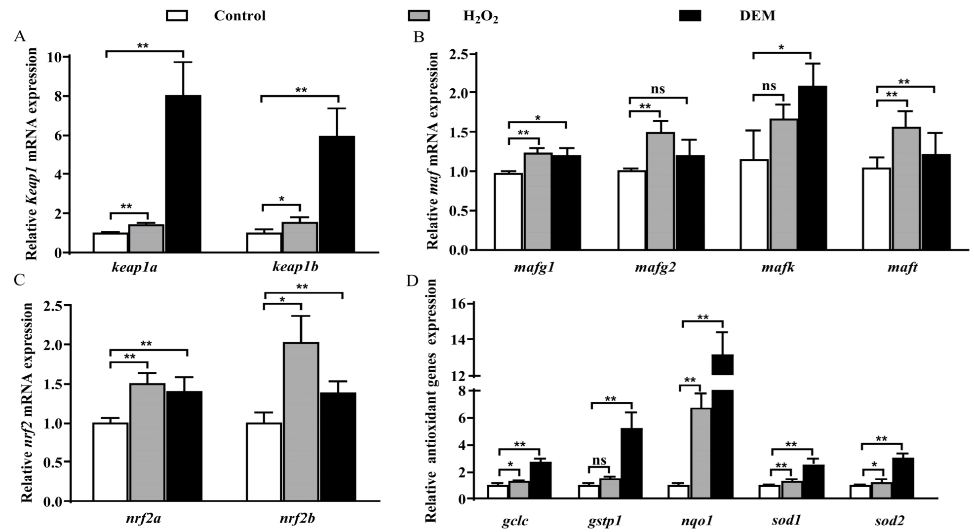 Life 12 01436 g001 Life 12 01436 g001