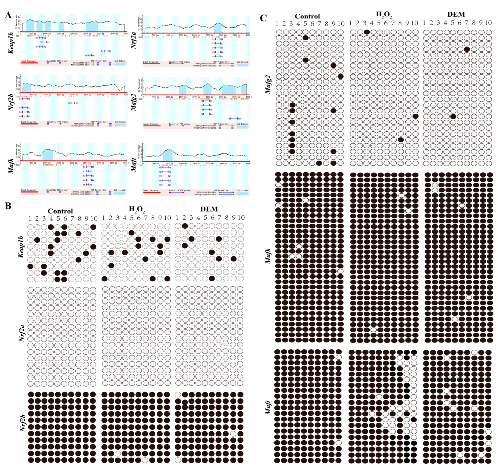 Life 12 01436 g002 Life 12 01436 g002