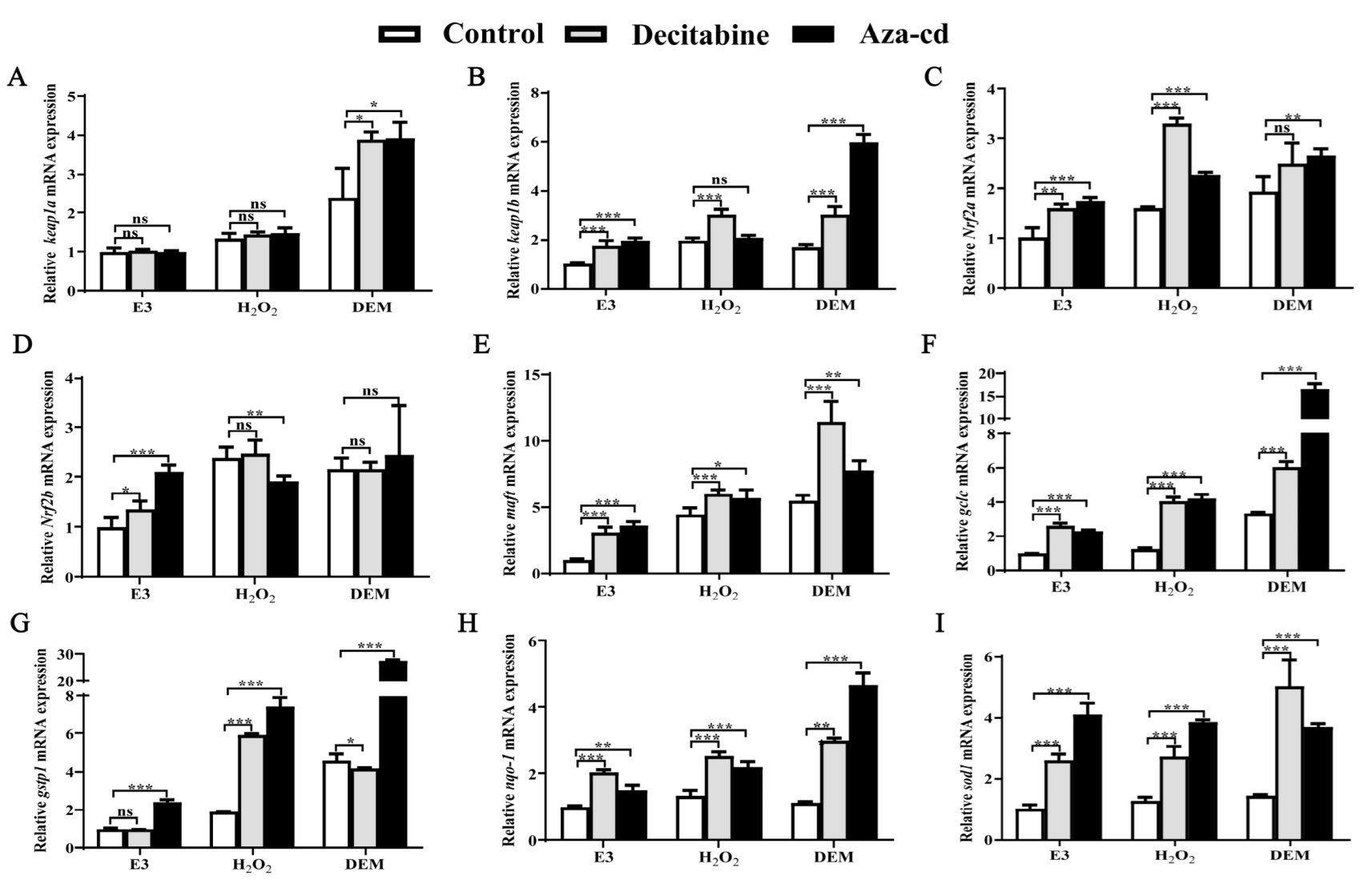 Life 12 01436 g004 Life 12 01436 g004