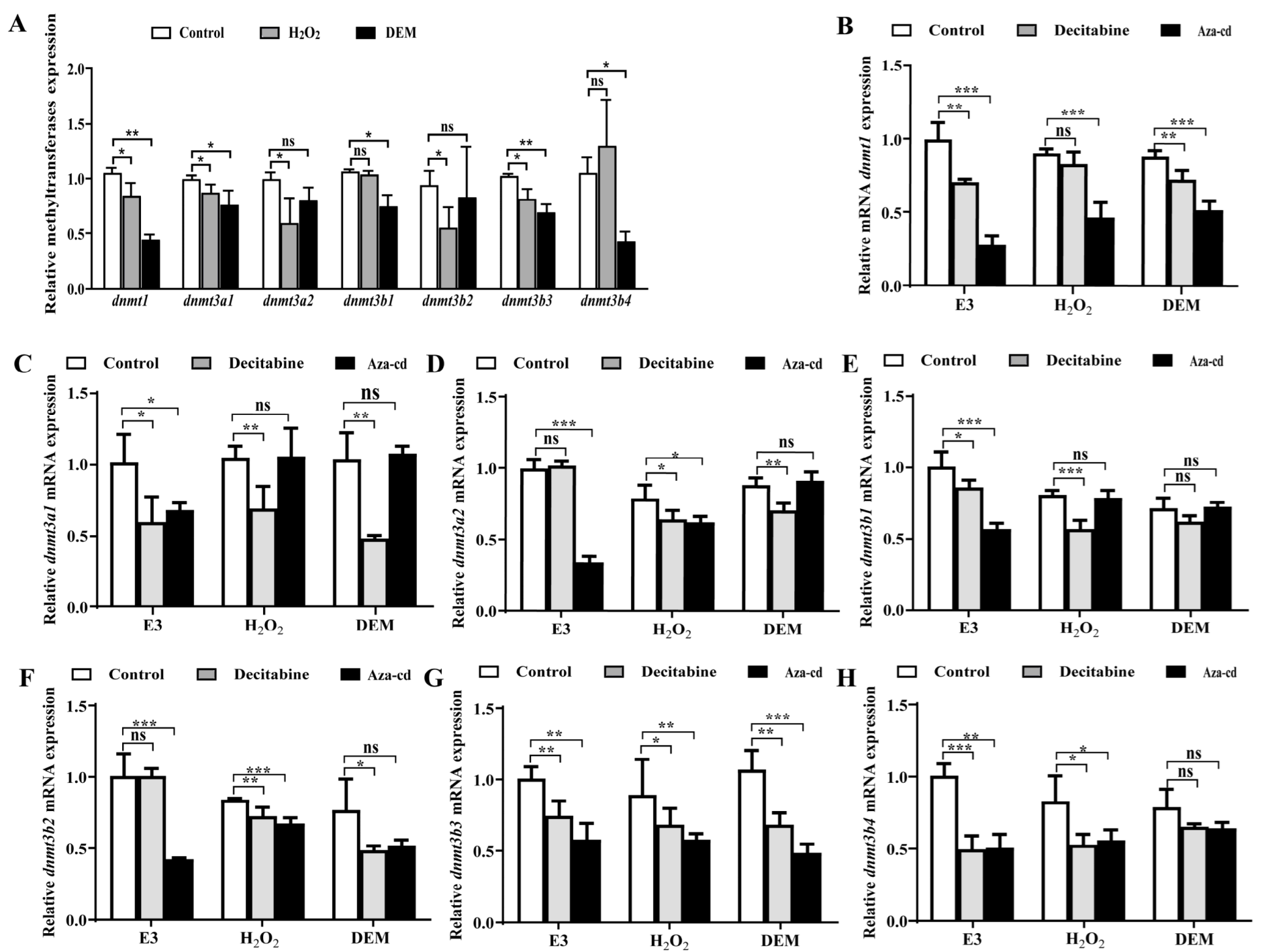 Life 12 01436 g005 Life 12 01436 g005