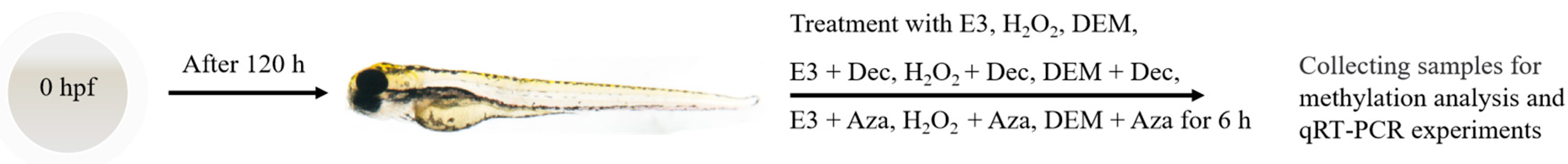 Life 12 01436 sch002 Life 12 01436 sch002