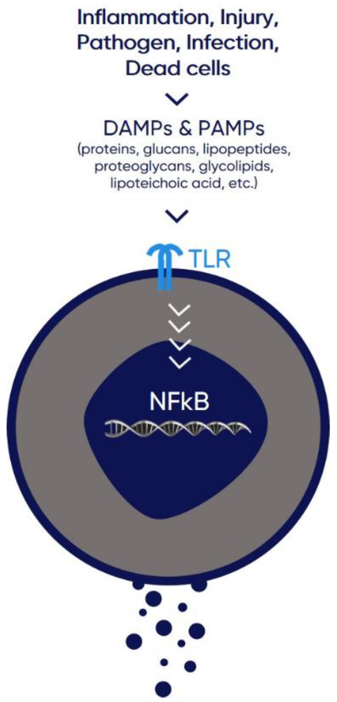 Life 12 01472 g001 Life 12 01472 g001