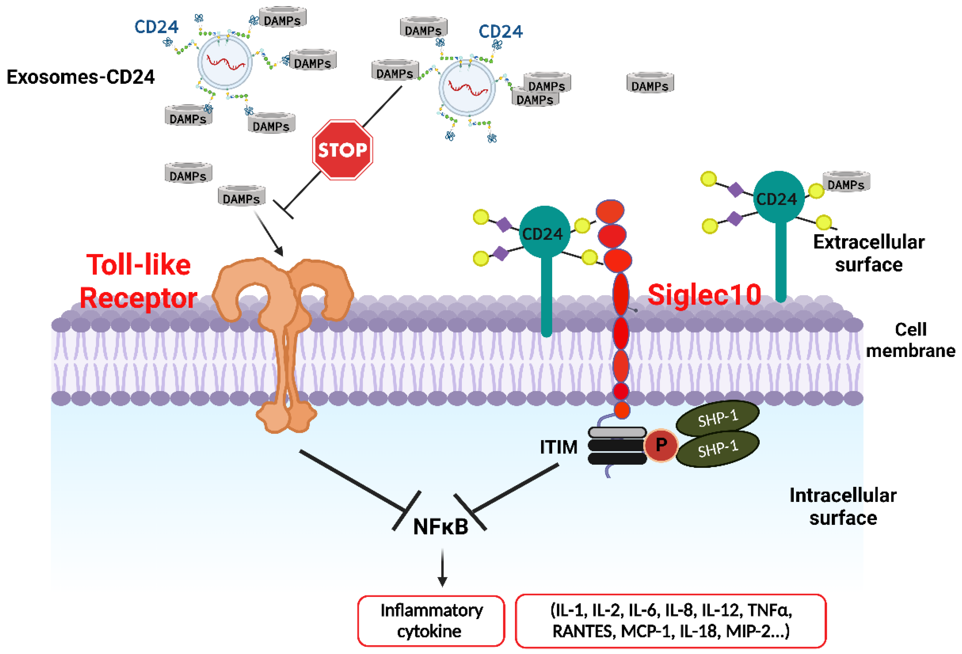 Life 12 01472 g002 Life 12 01472 g002