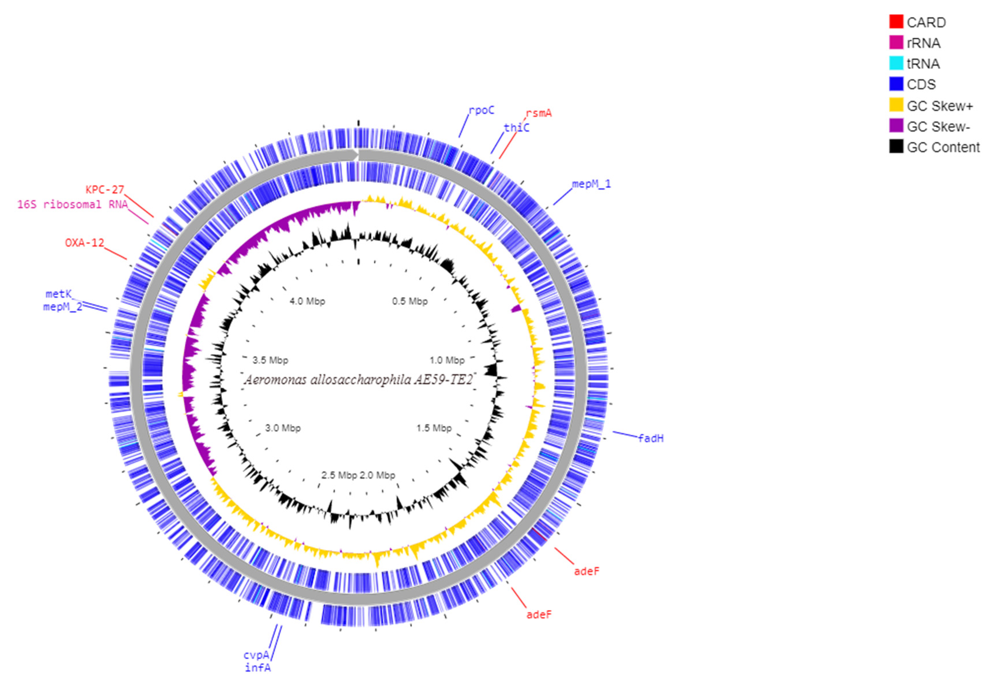 Life 12 01492 g002 Life 12 01492 g002