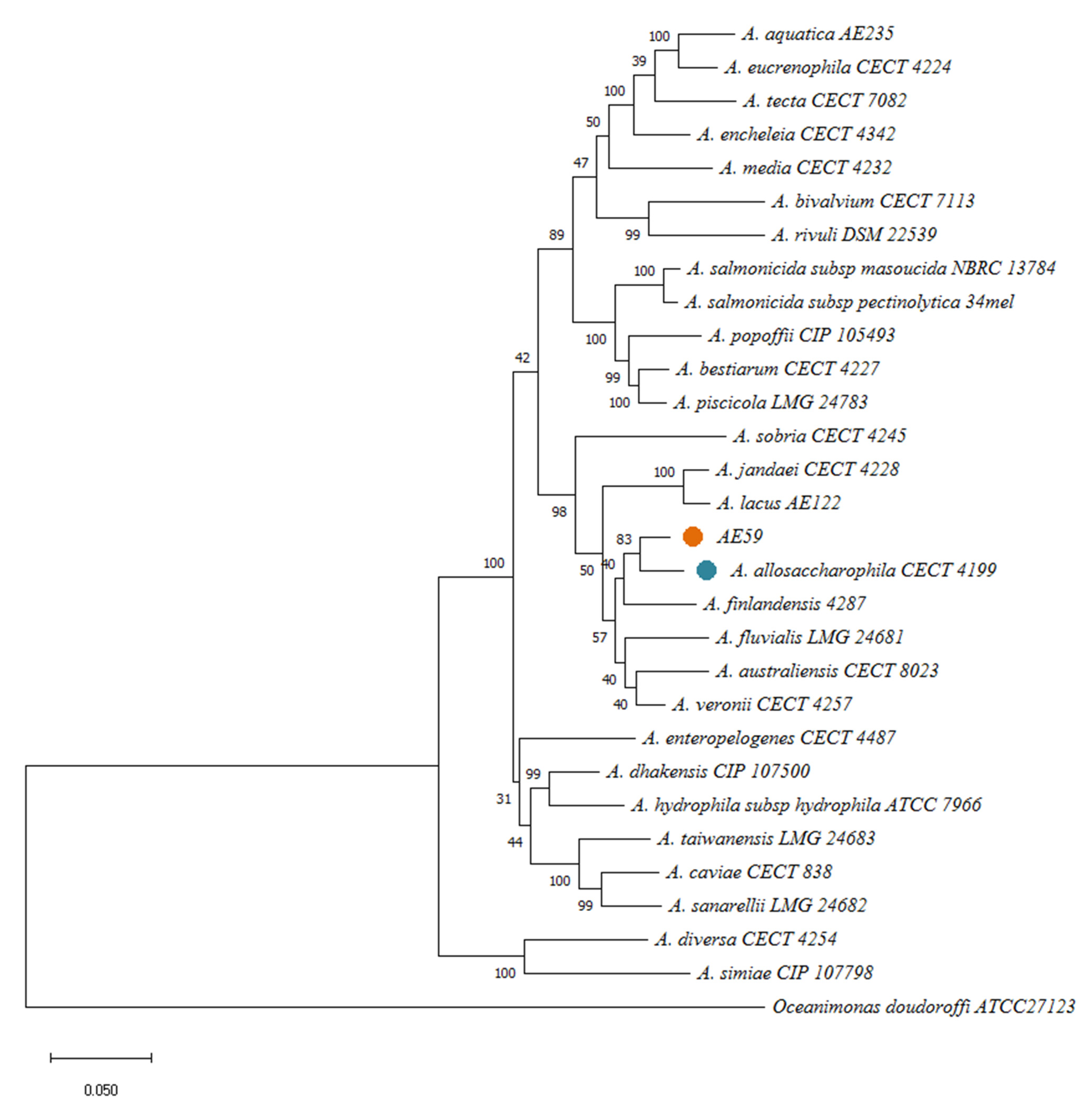 Life 12 01492 g003 Life 12 01492 g003