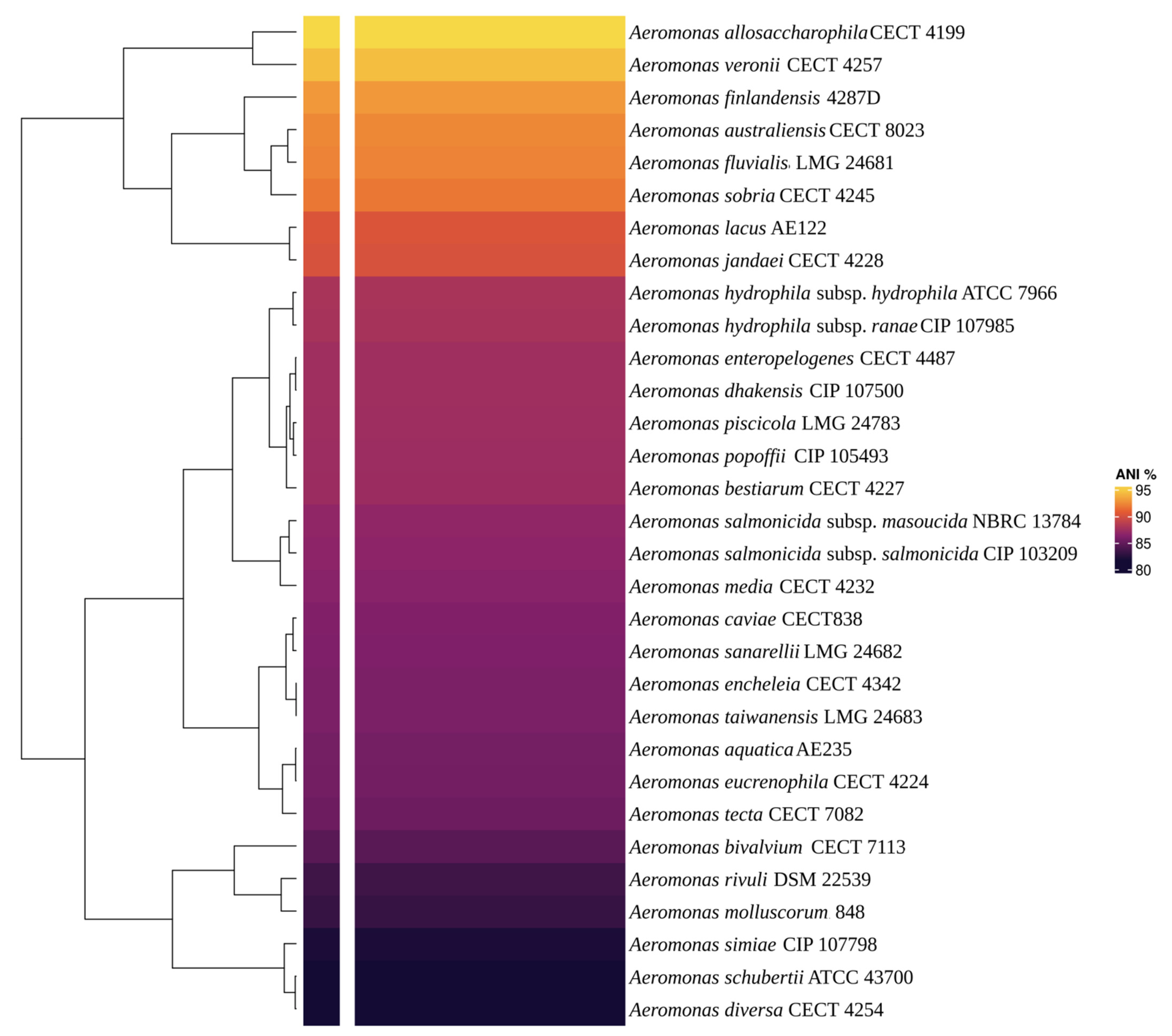 Life 12 01492 g004 Life 12 01492 g004