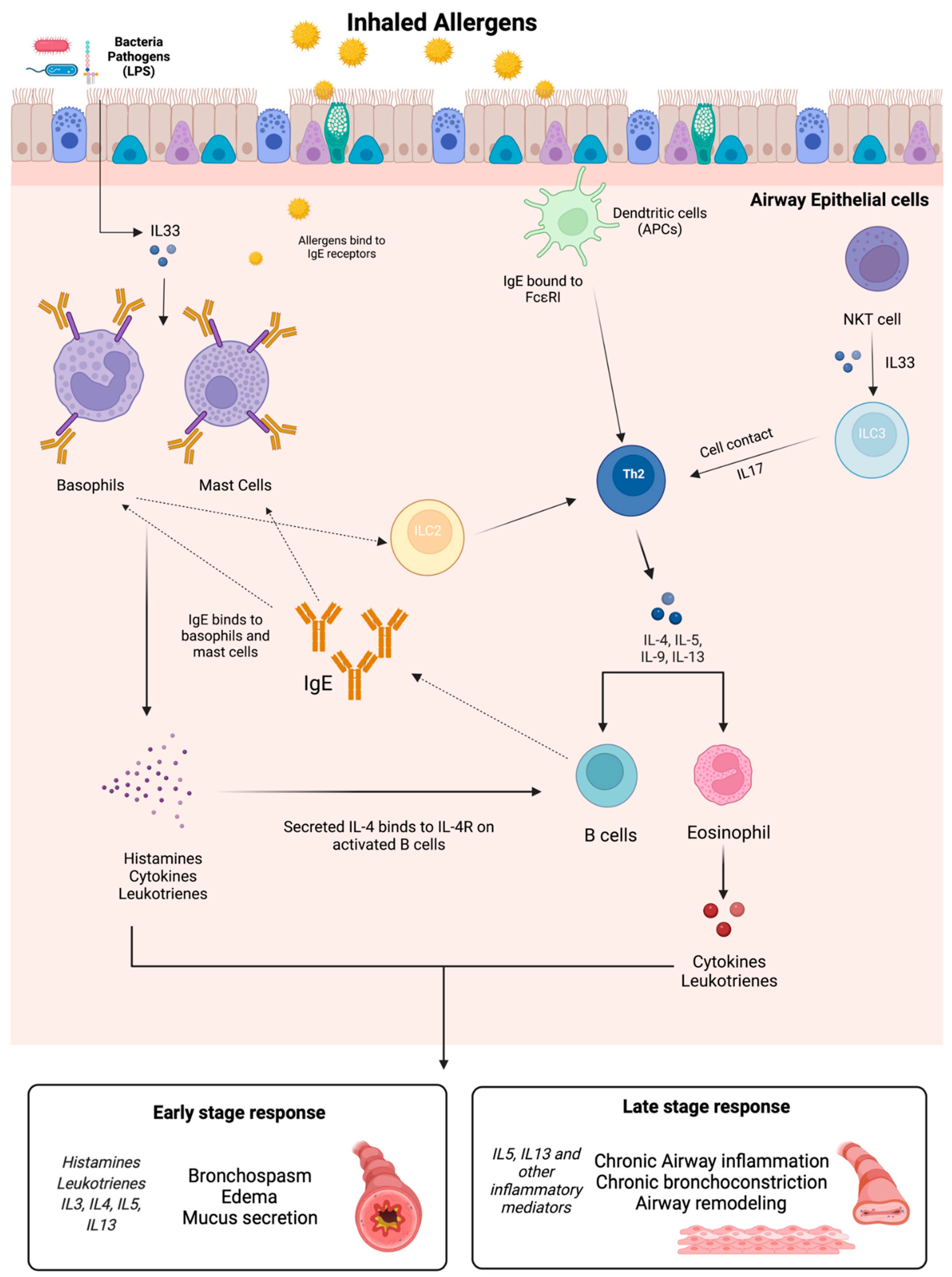 Life 12 01562 g001 Life 12 01562 g001