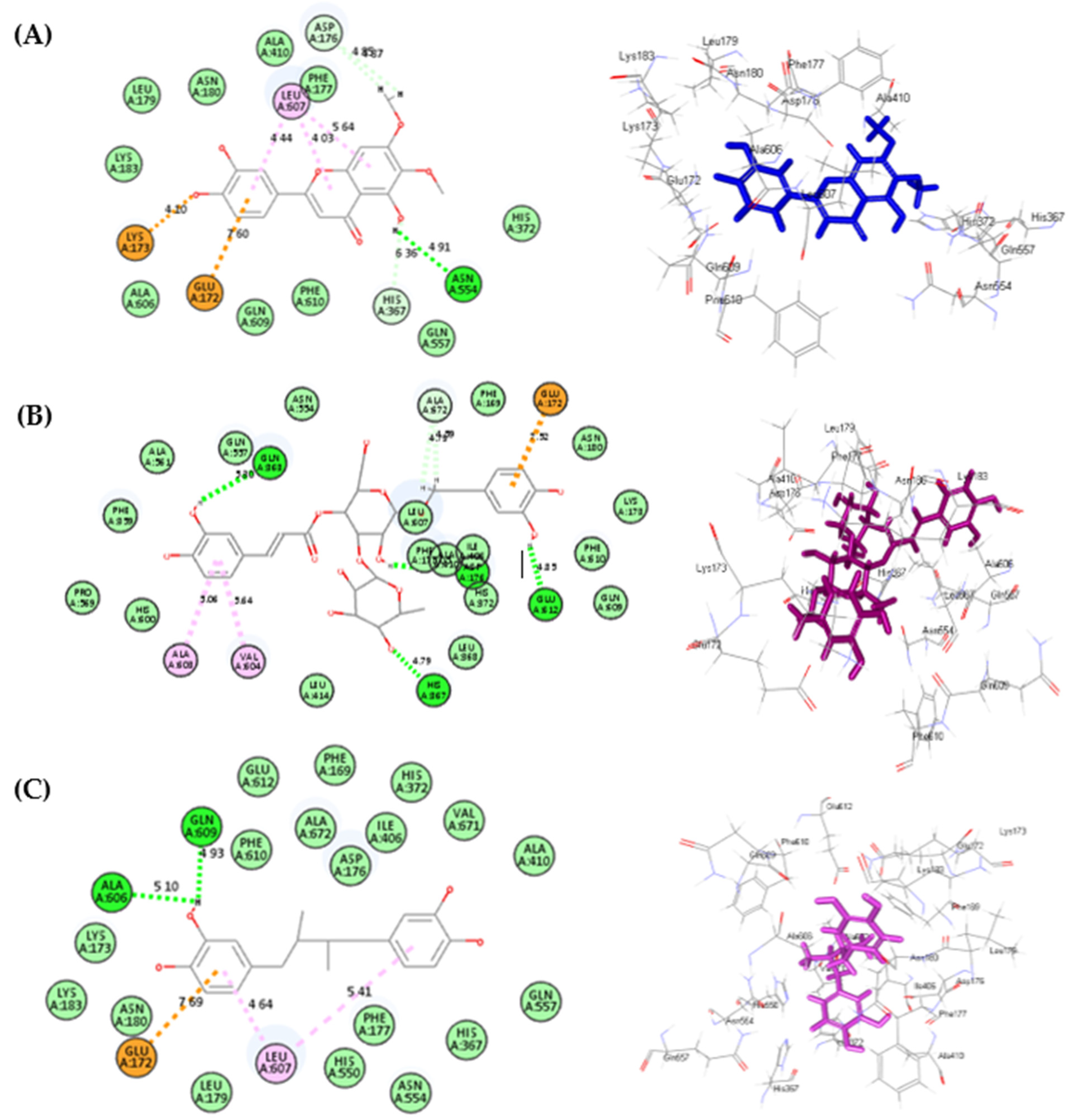 Life 12 01579 g005 Life 12 01579 g005
