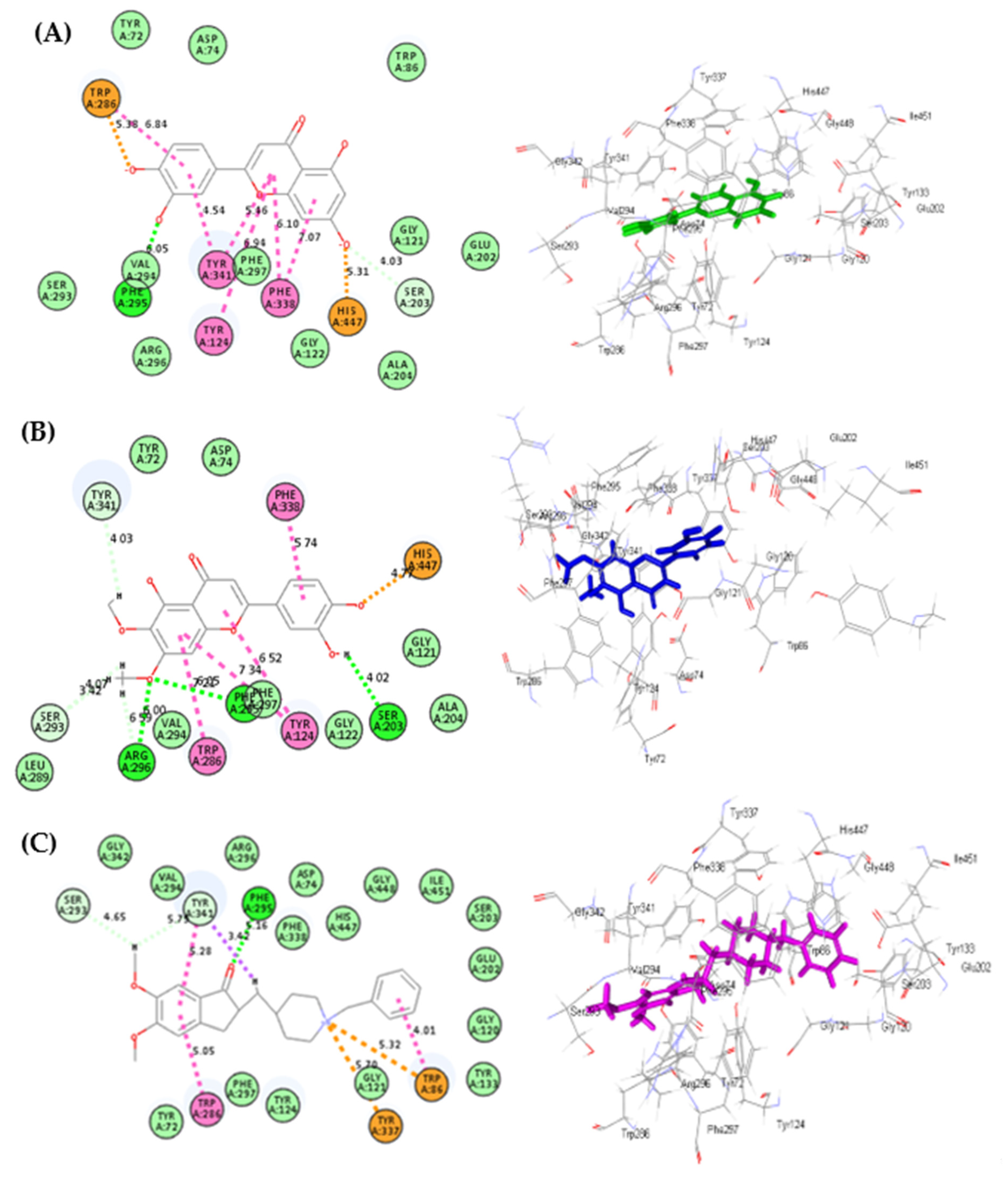 Life 12 01579 g006 Life 12 01579 g006