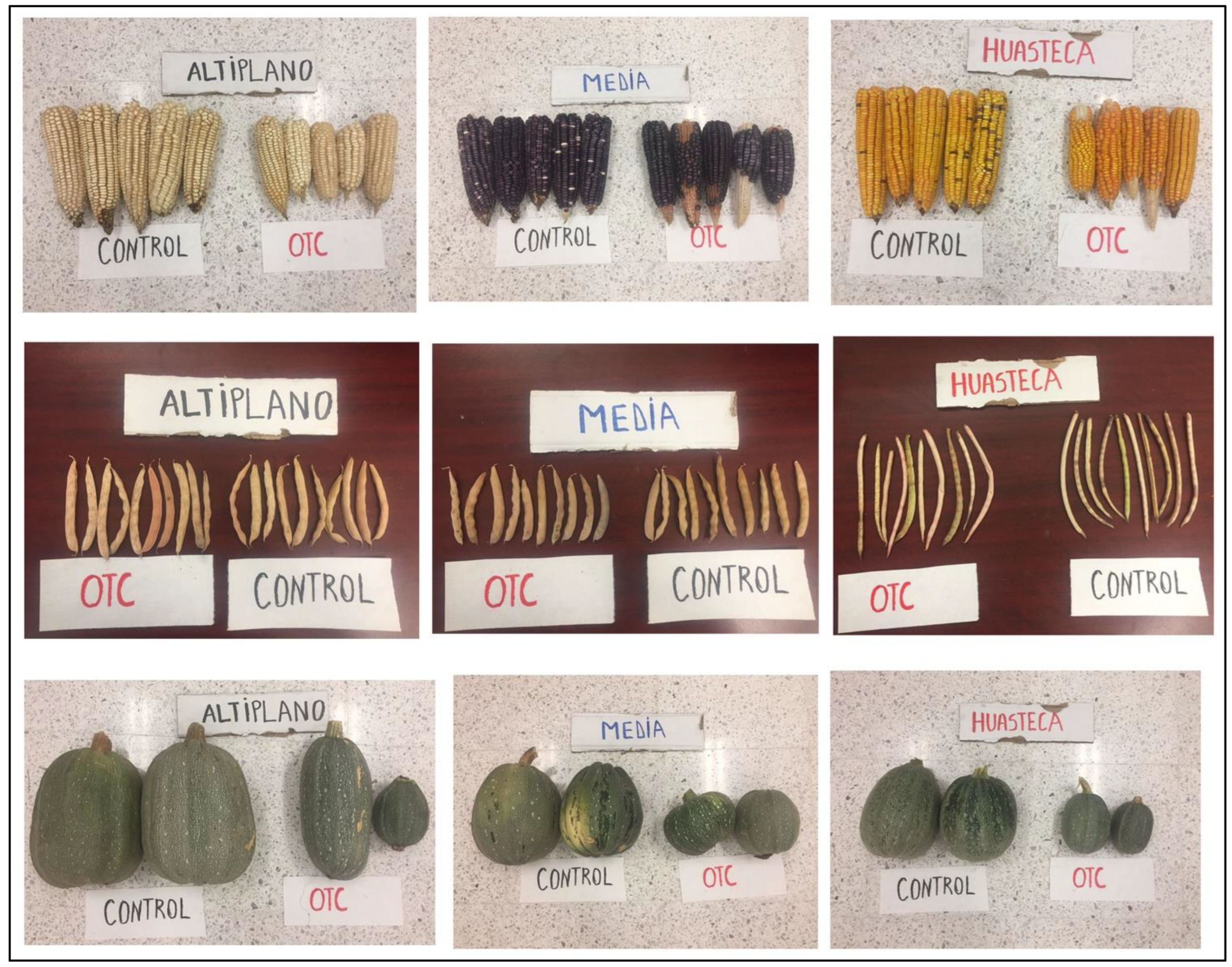 Life 12 01589 g002 Life 12 01589 g002