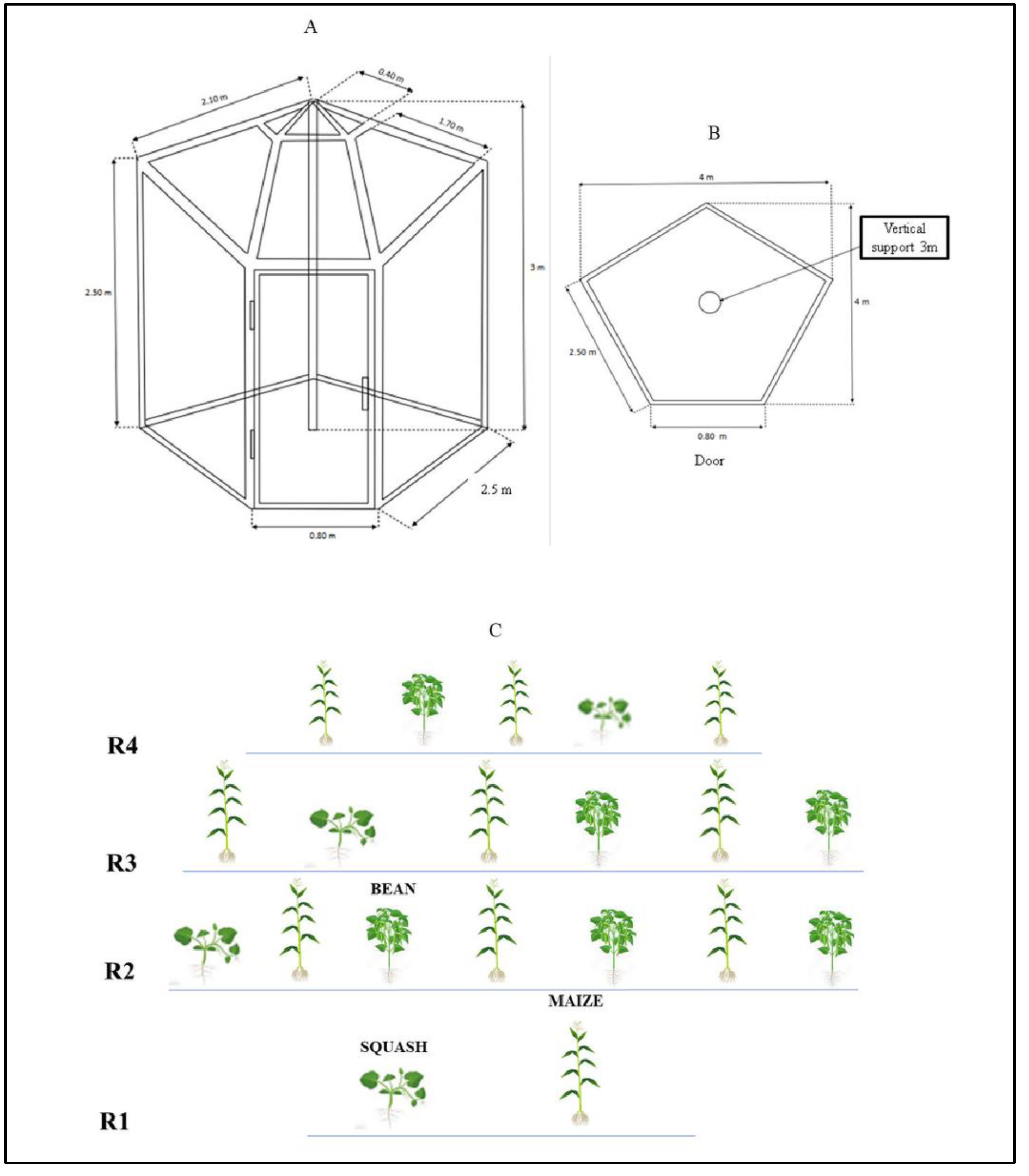 Life 12 01589 g003 Life 12 01589 g003
