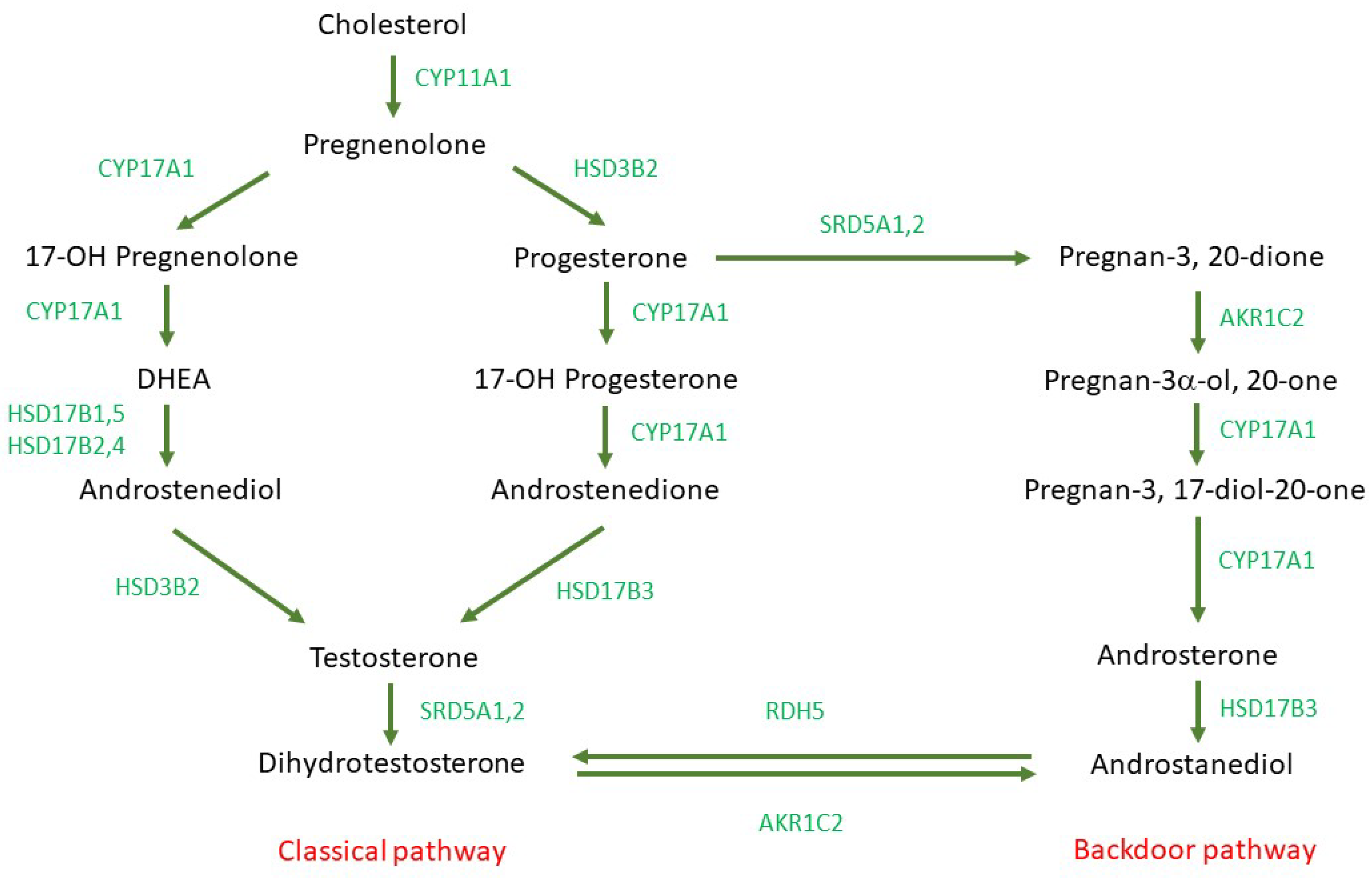 Life 12 01607 g003 Life 12 01607 g003