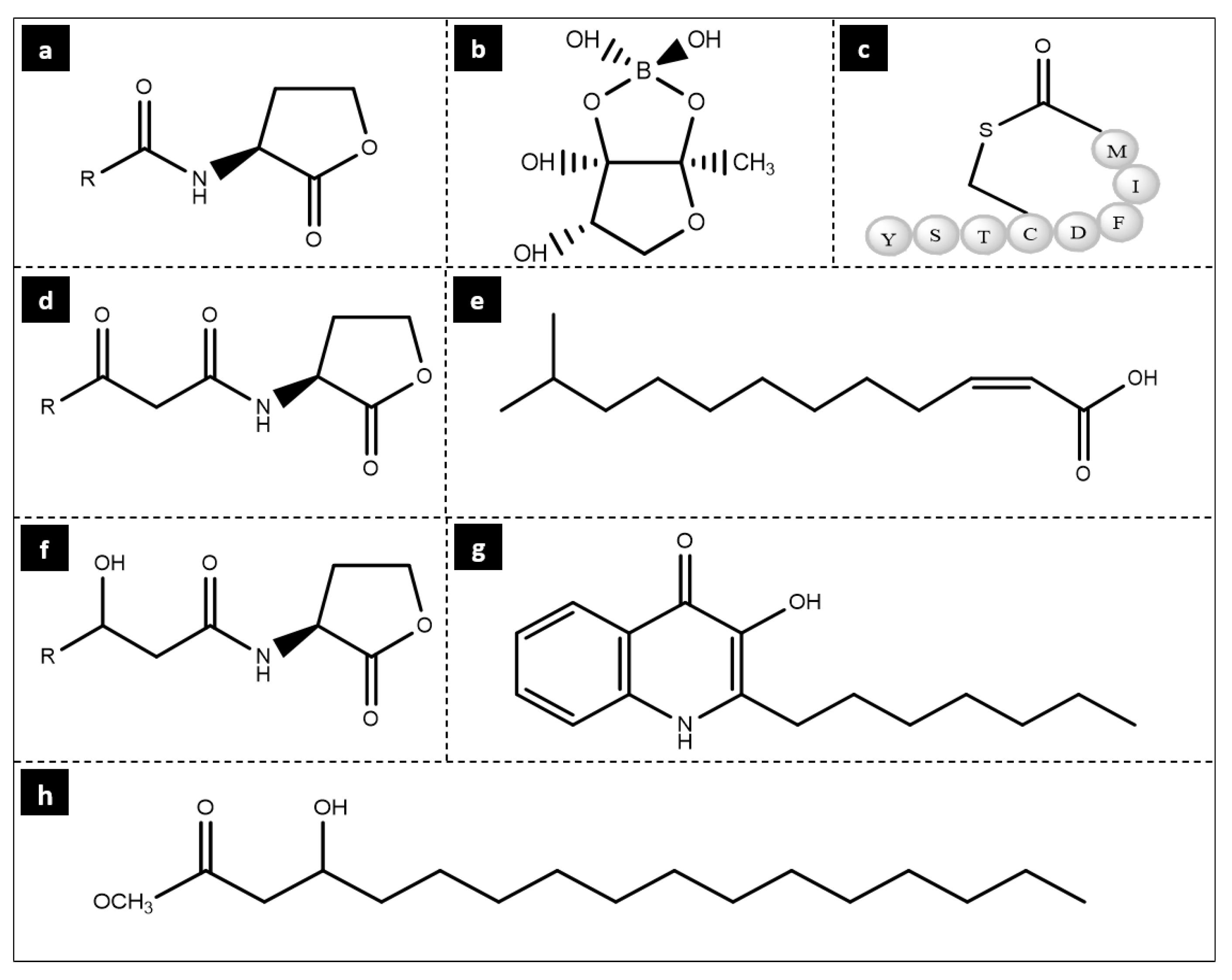 Life 12 01618 g002 Life 12 01618 g002