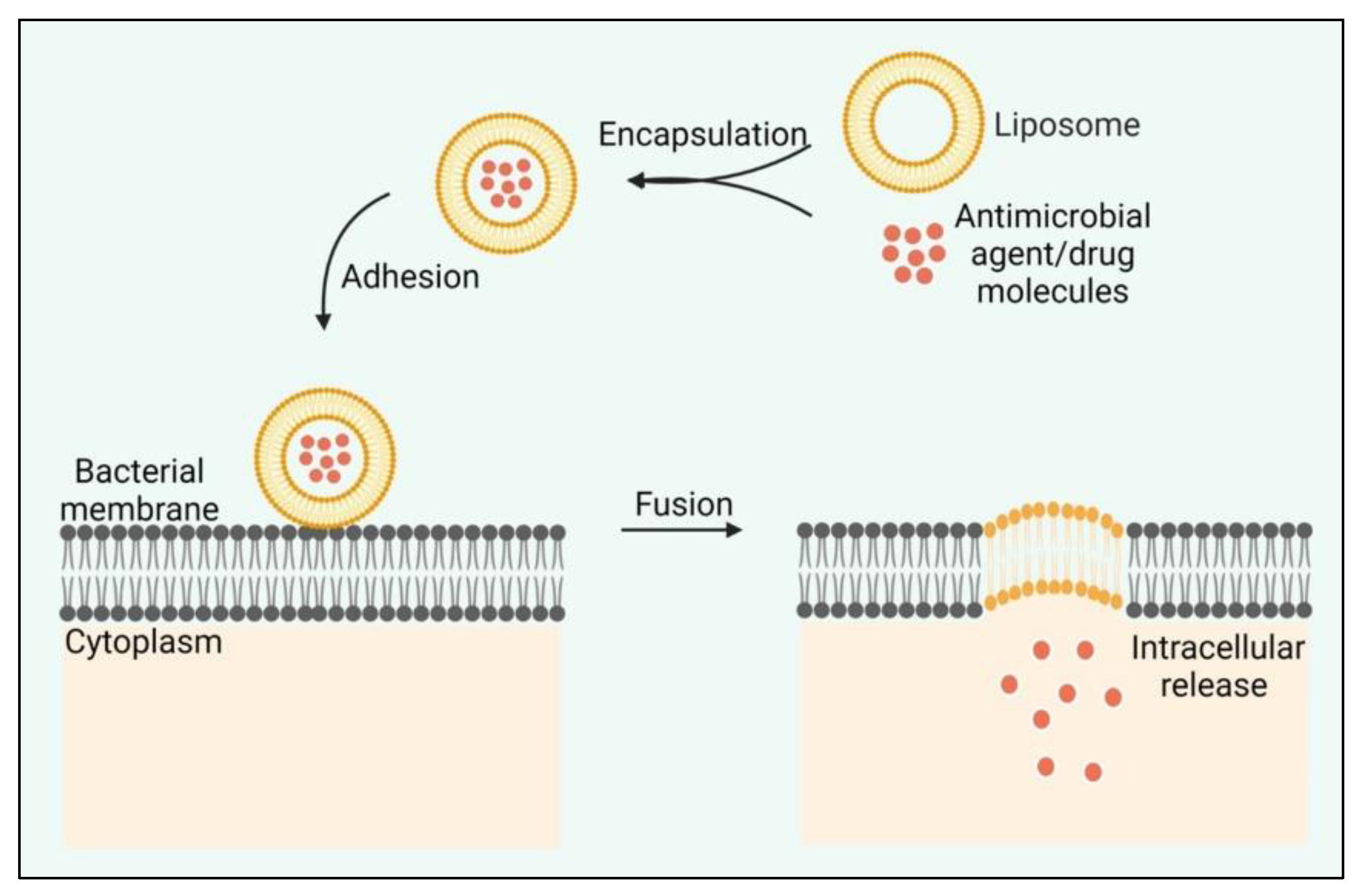 Life 12 01618 g005 Life 12 01618 g005