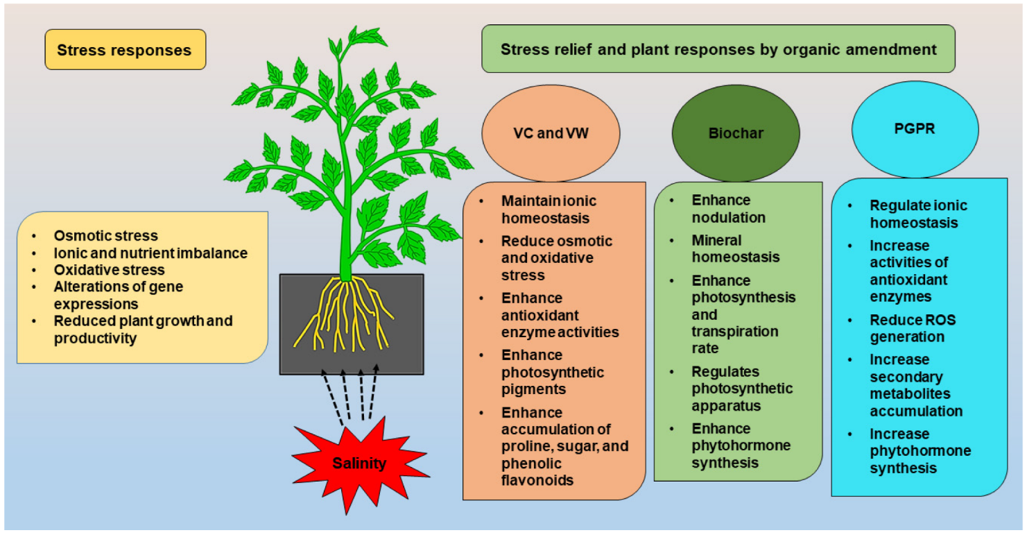 Life 12 01632 g001 Life 12 01632 g001