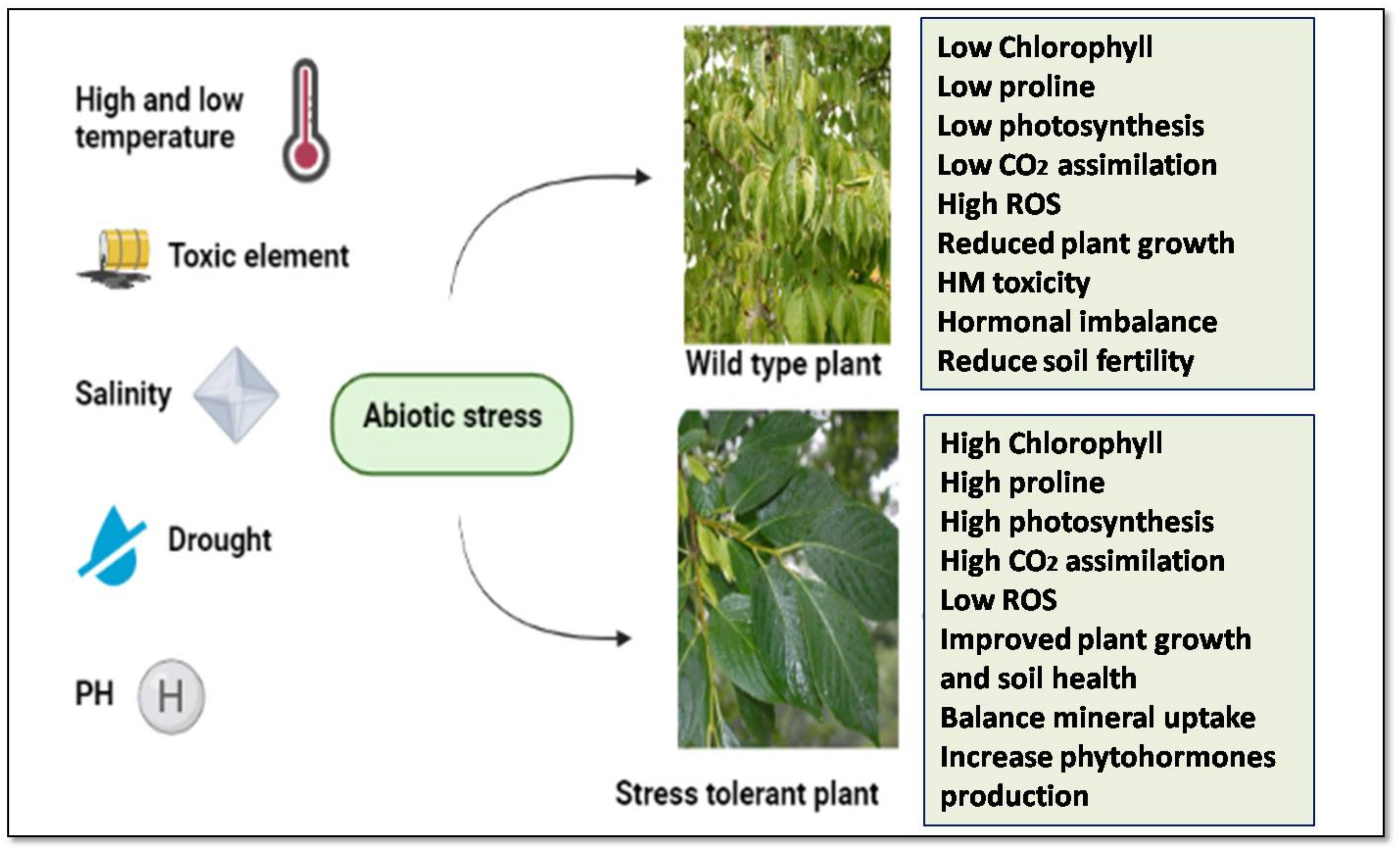 Life 12 01634 g001 Life 12 01634 g001