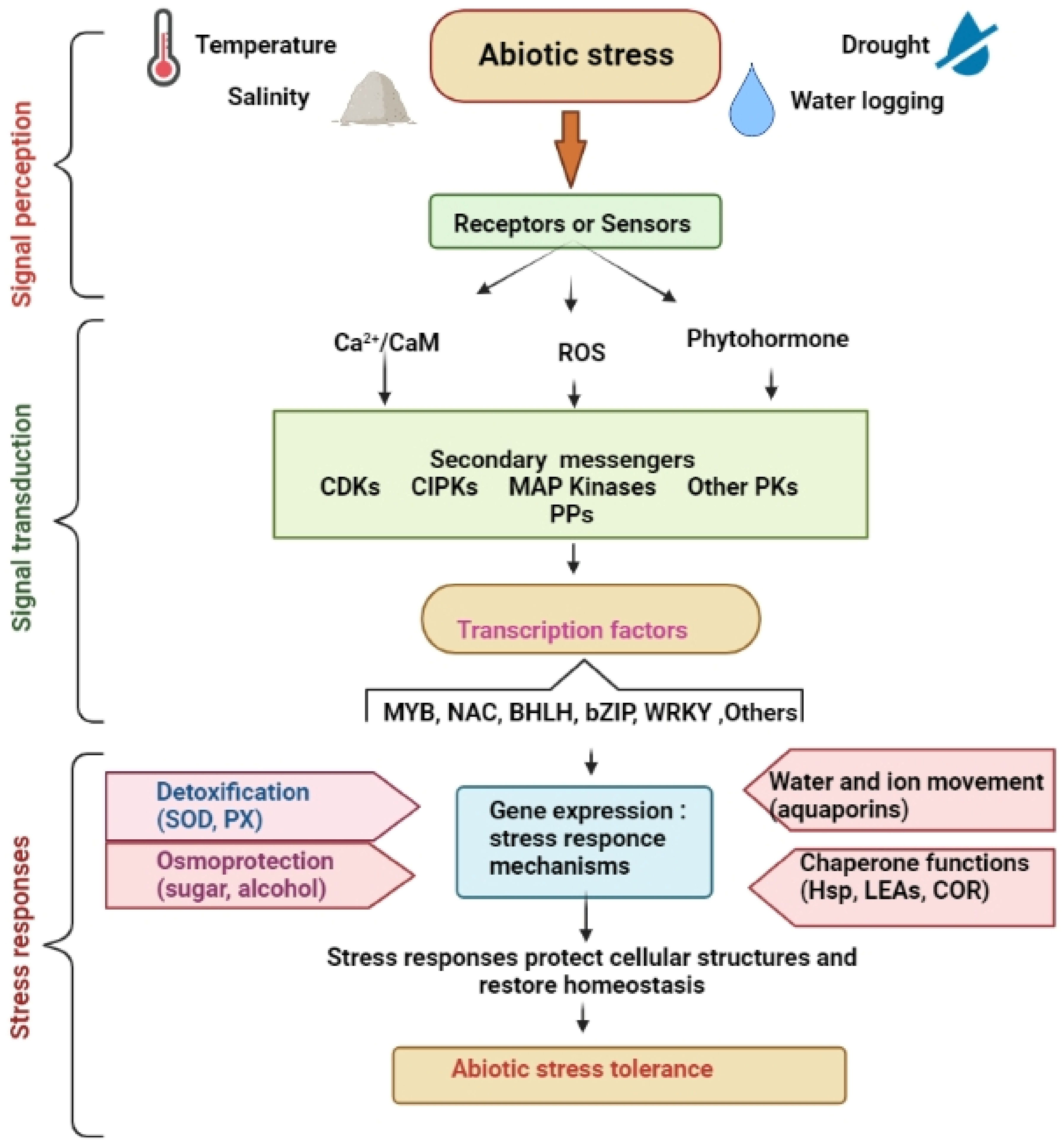 Life 12 01634 g002 Life 12 01634 g002