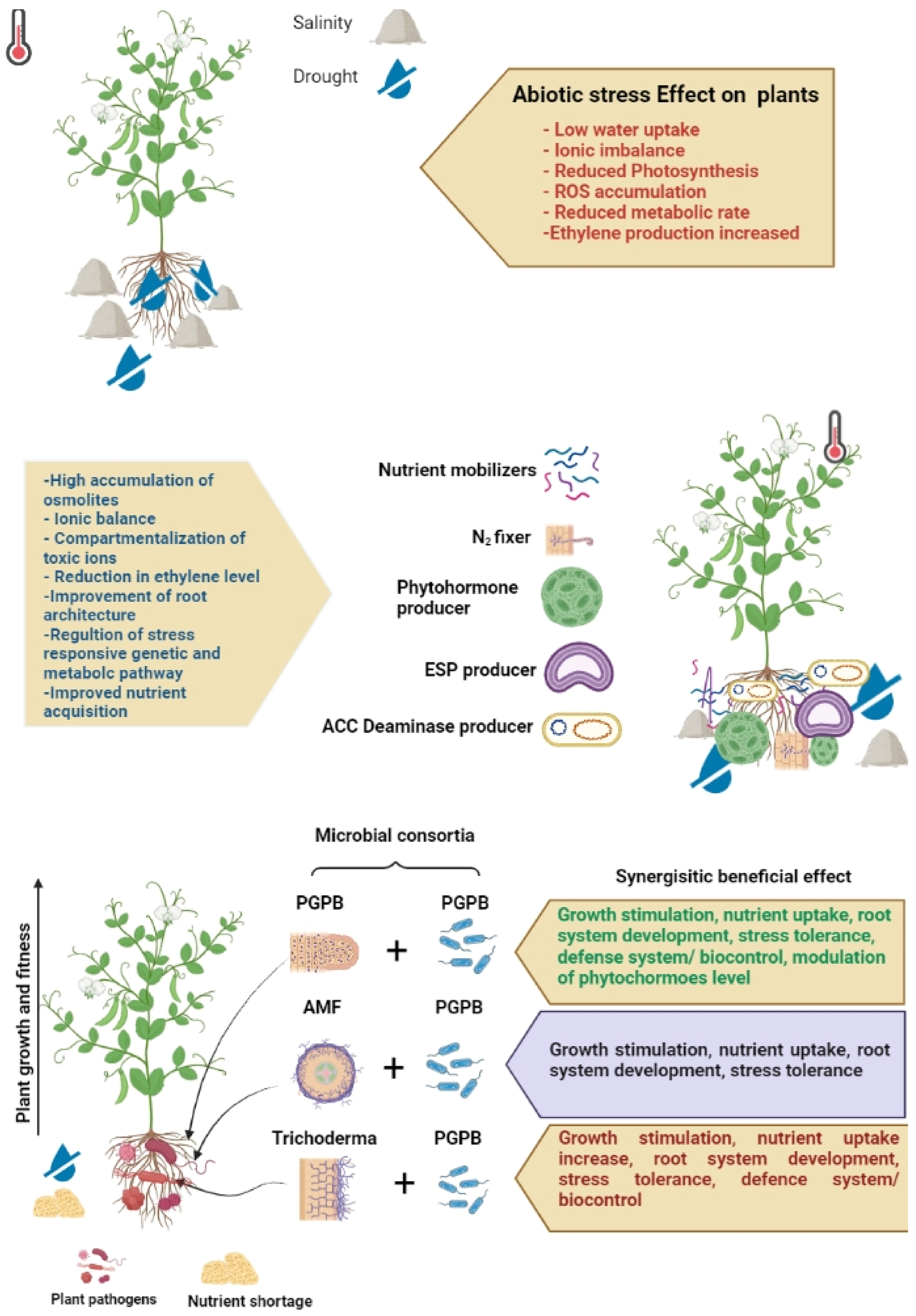 Life 12 01634 g003 Life 12 01634 g003