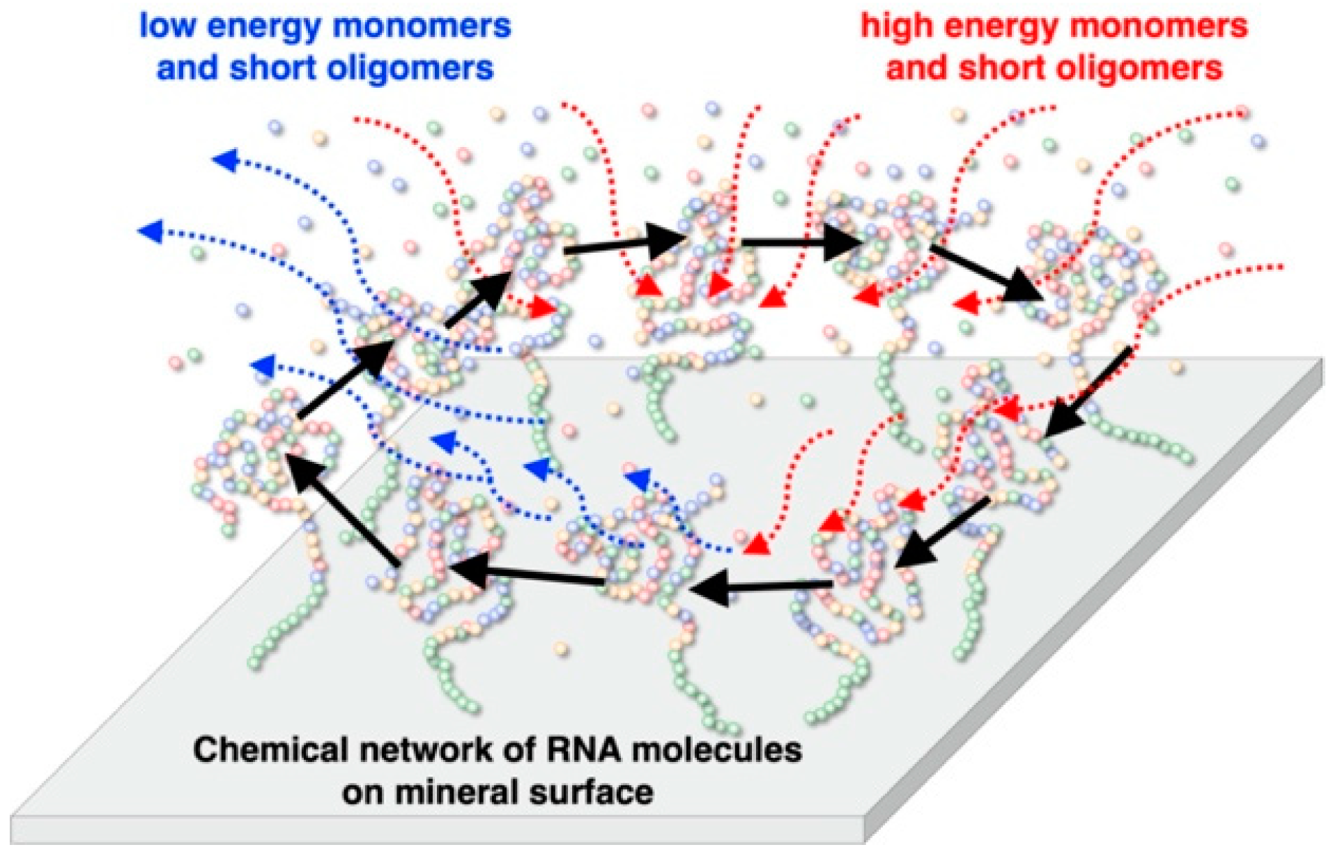 Life 12 01689 g001 Life 12 01689 g001