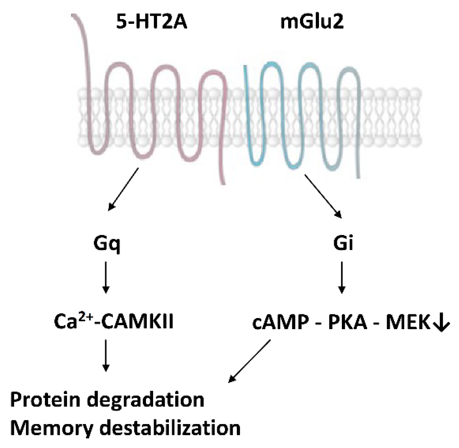 Life 12 01707 g002 Life 12 01707 g002