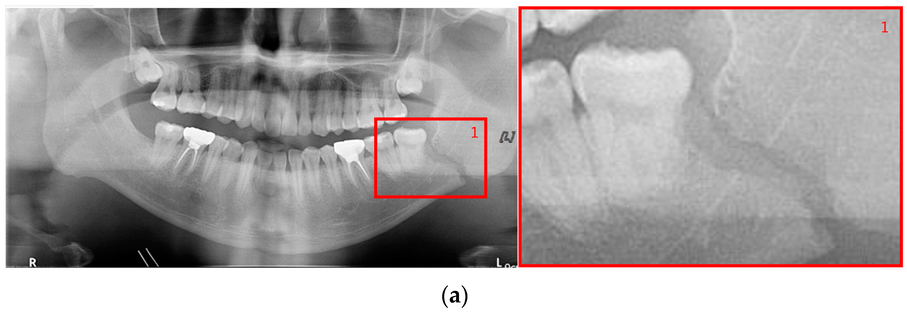 Life 12 01711 g002a Life 12 01711 g002a