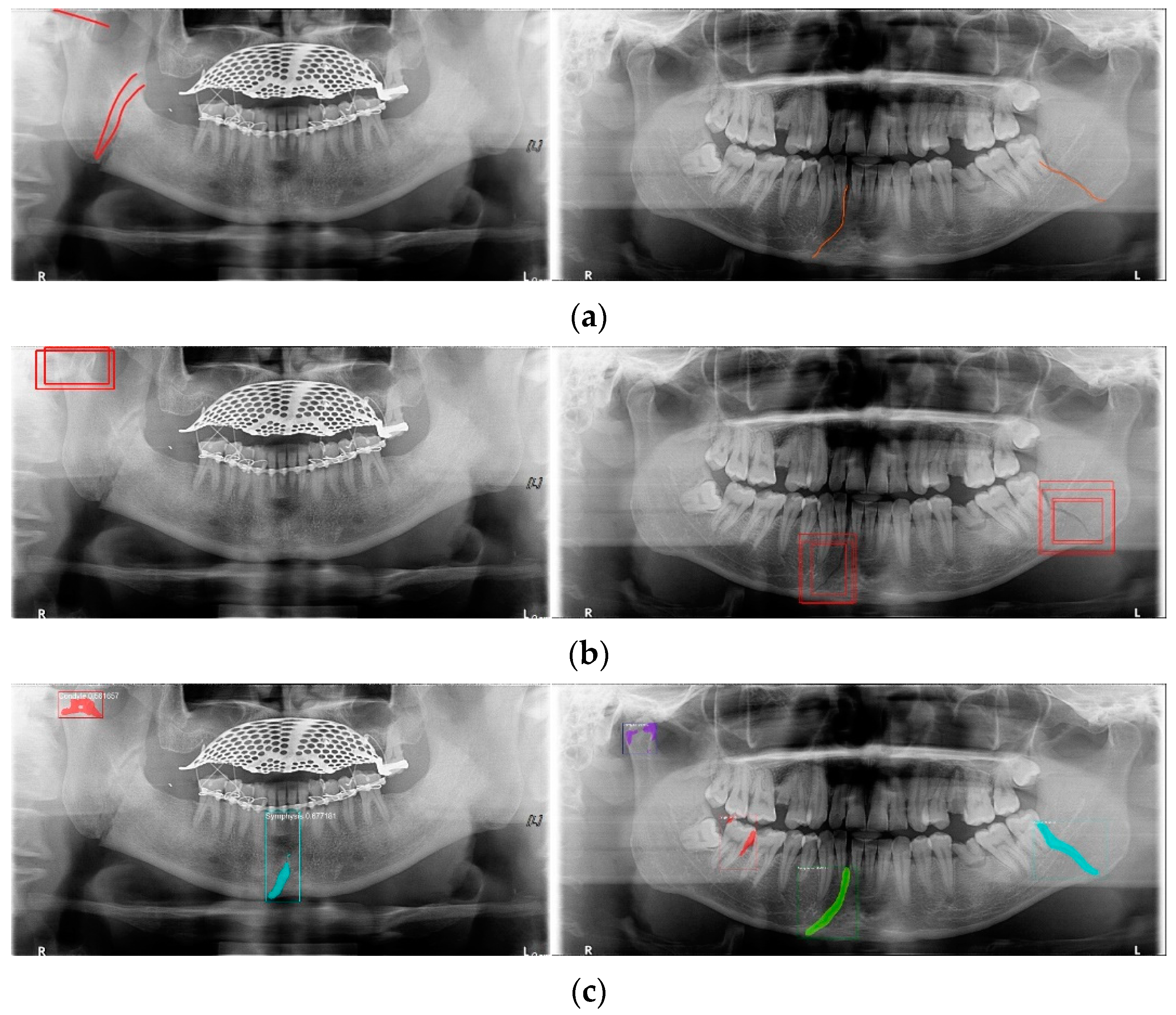 Life 12 01711 g003a Life 12 01711 g003a