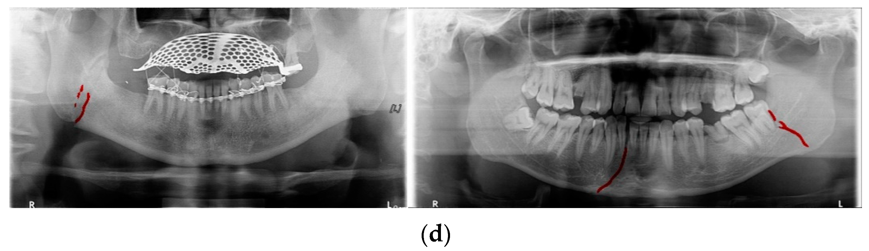 Life 12 01711 g003b Life 12 01711 g003b