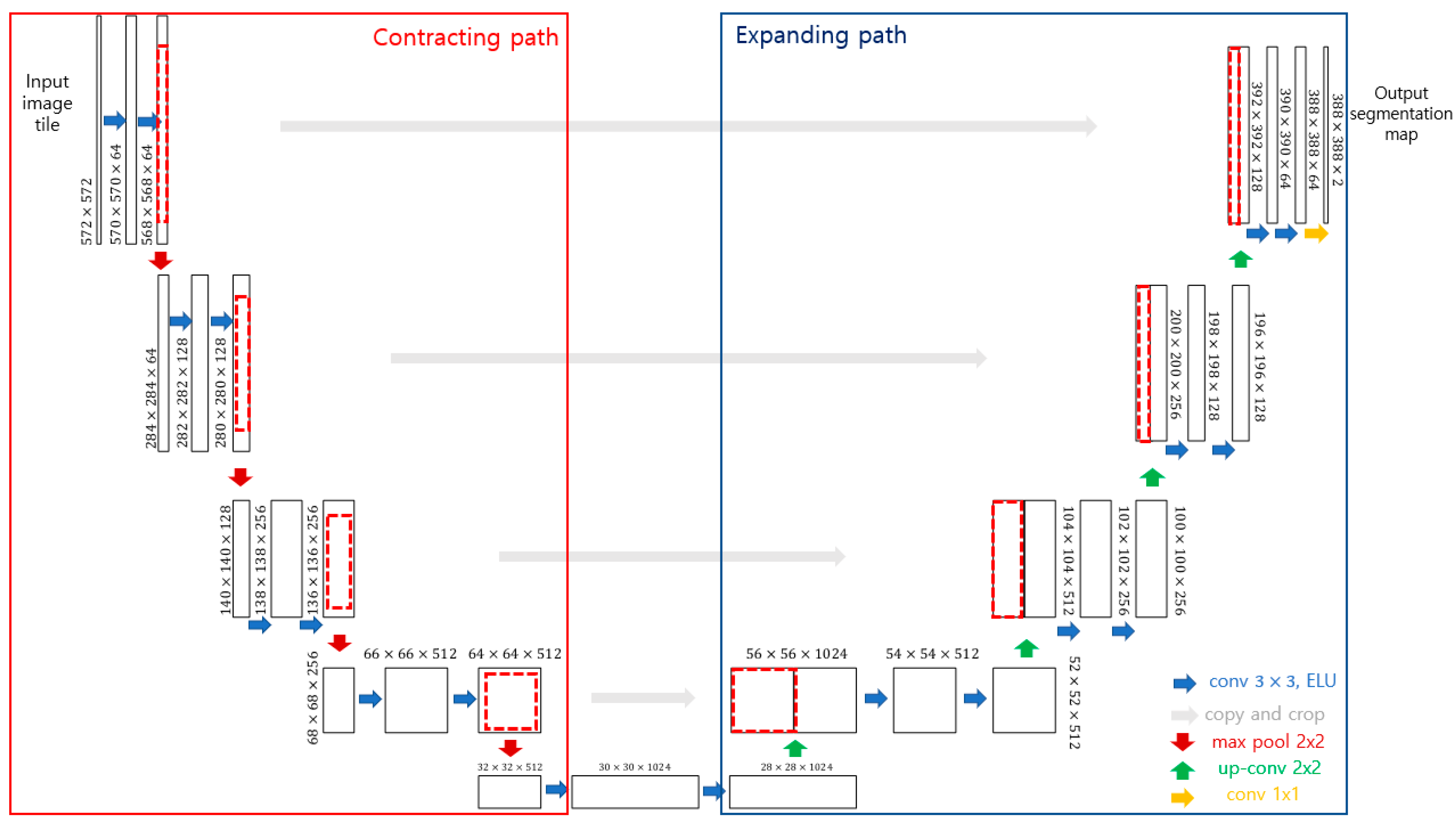 Life 12 01711 g004 Life 12 01711 g004