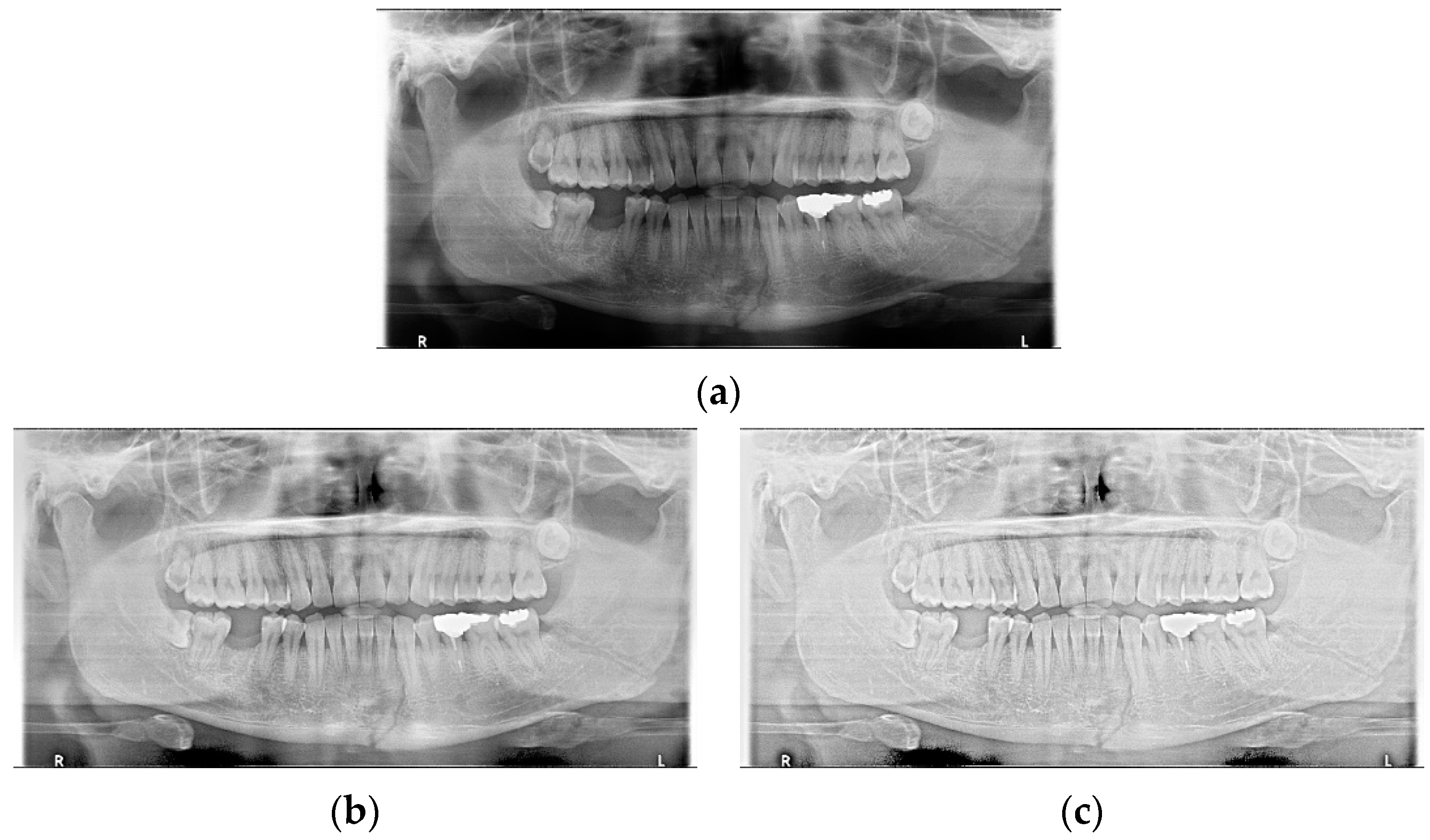 Life 12 01711 g005 Life 12 01711 g005