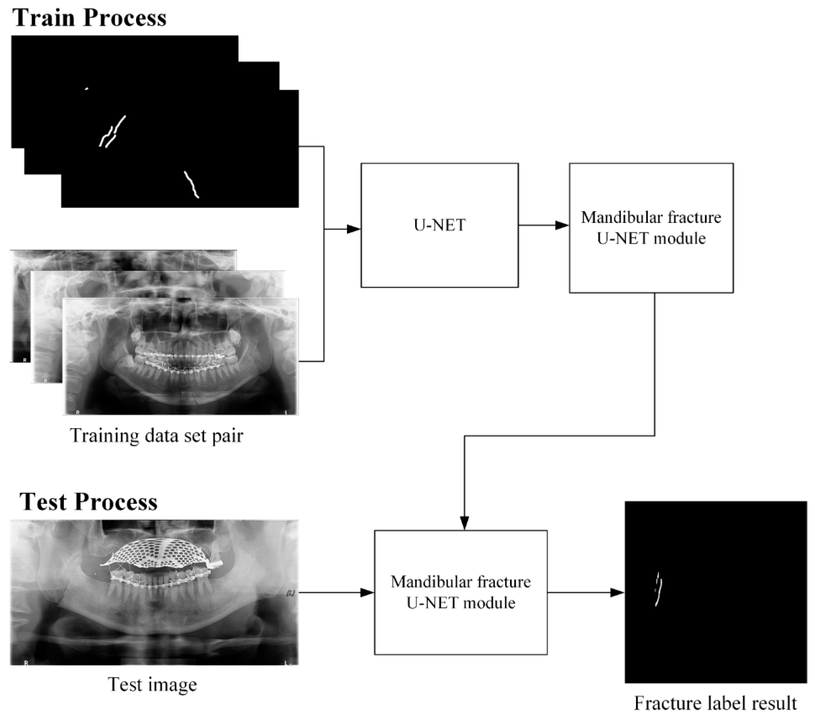 Life 12 01711 g006 Life 12 01711 g006
