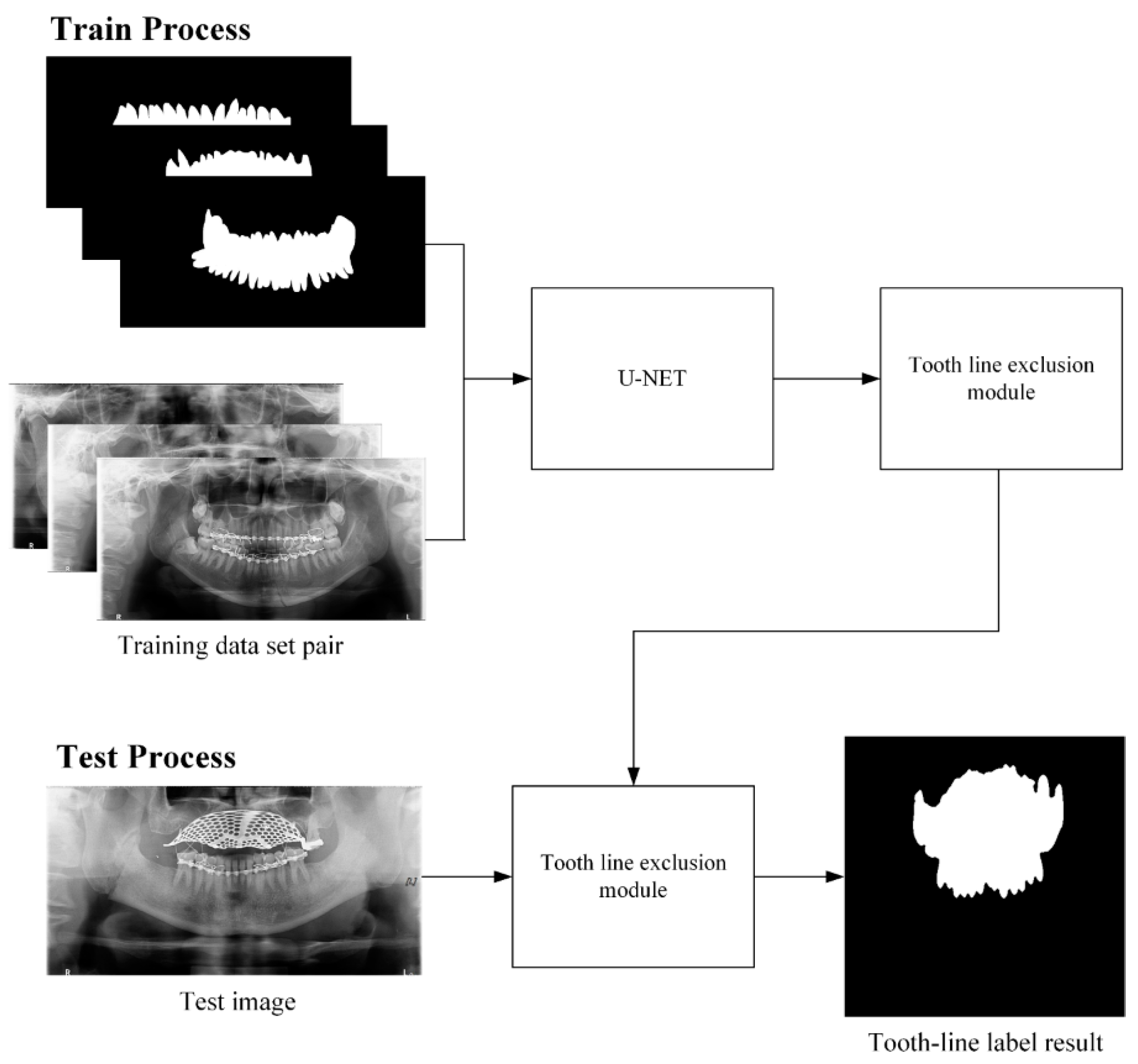 Life 12 01711 g007 Life 12 01711 g007