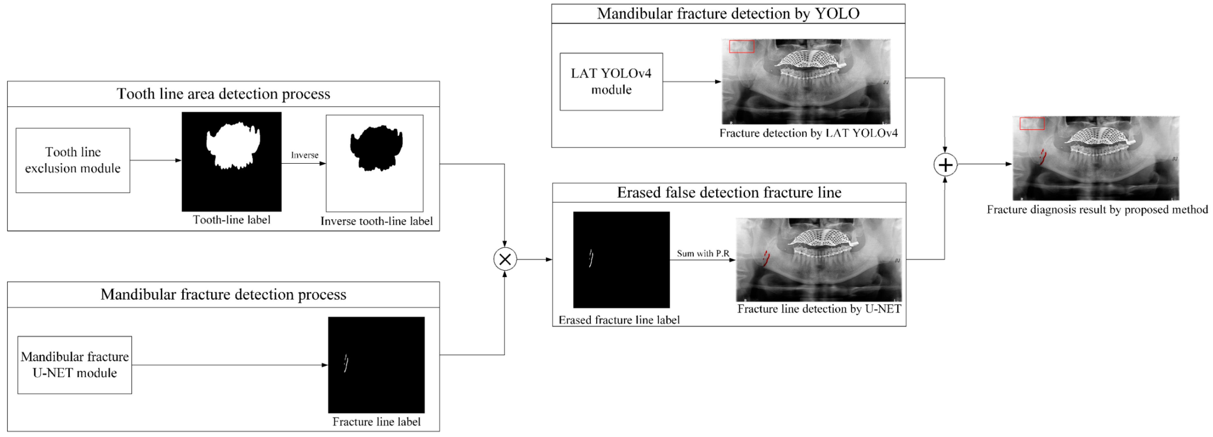 Life 12 01711 g010 Life 12 01711 g010