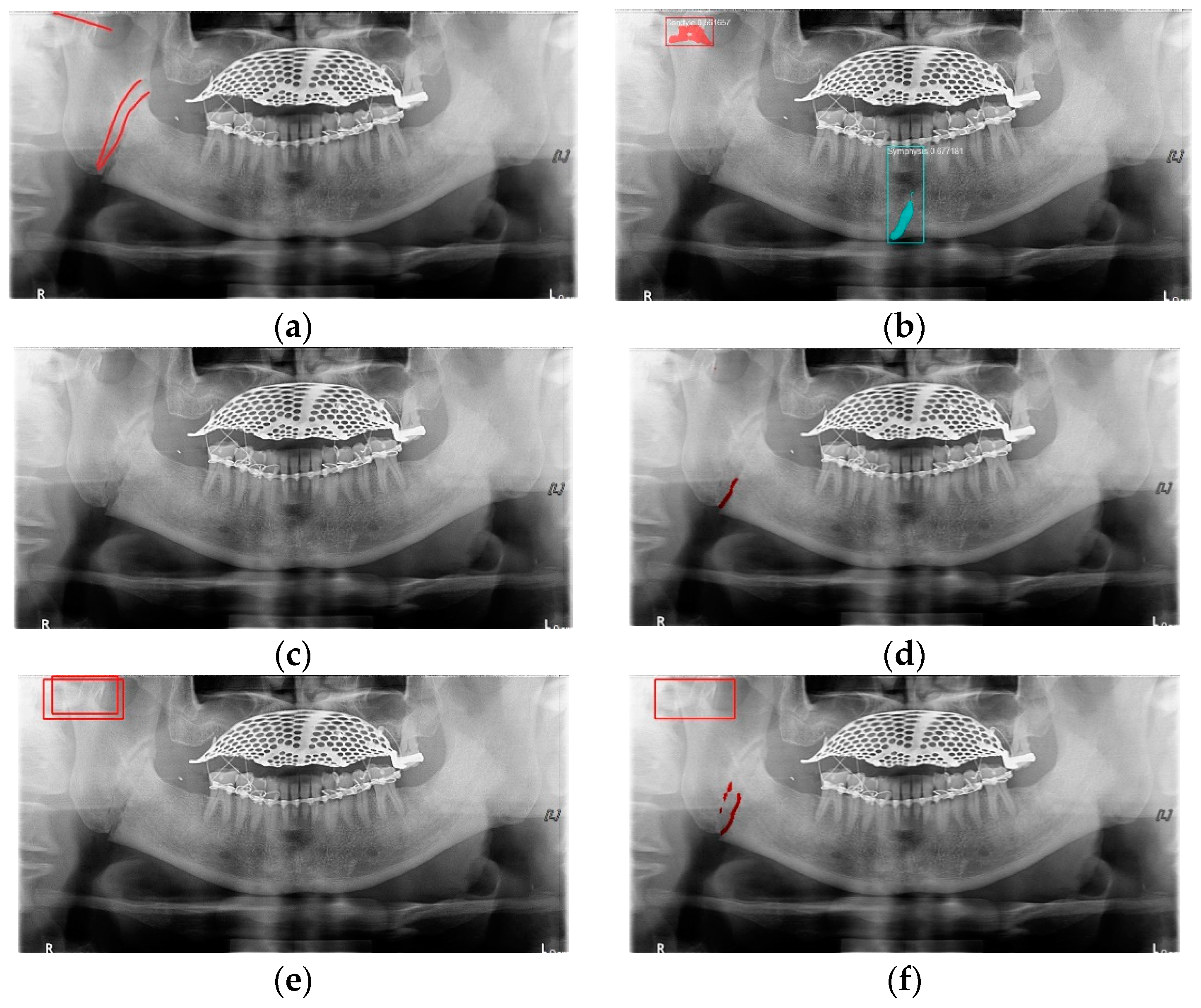 Life 12 01711 g011 Life 12 01711 g011
