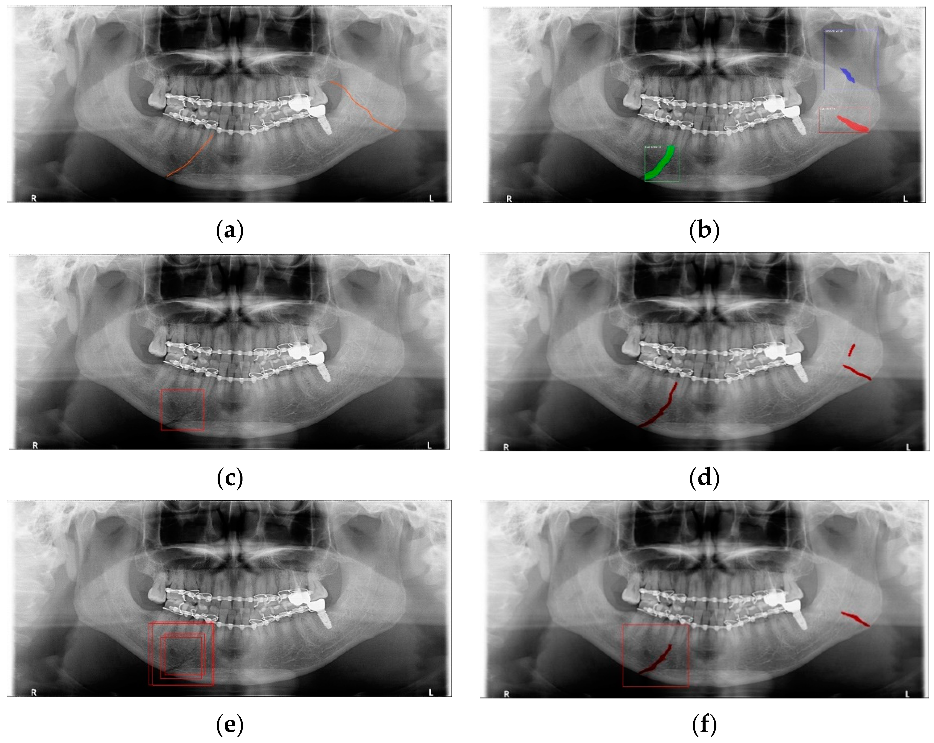 Life 12 01711 g013 Life 12 01711 g013