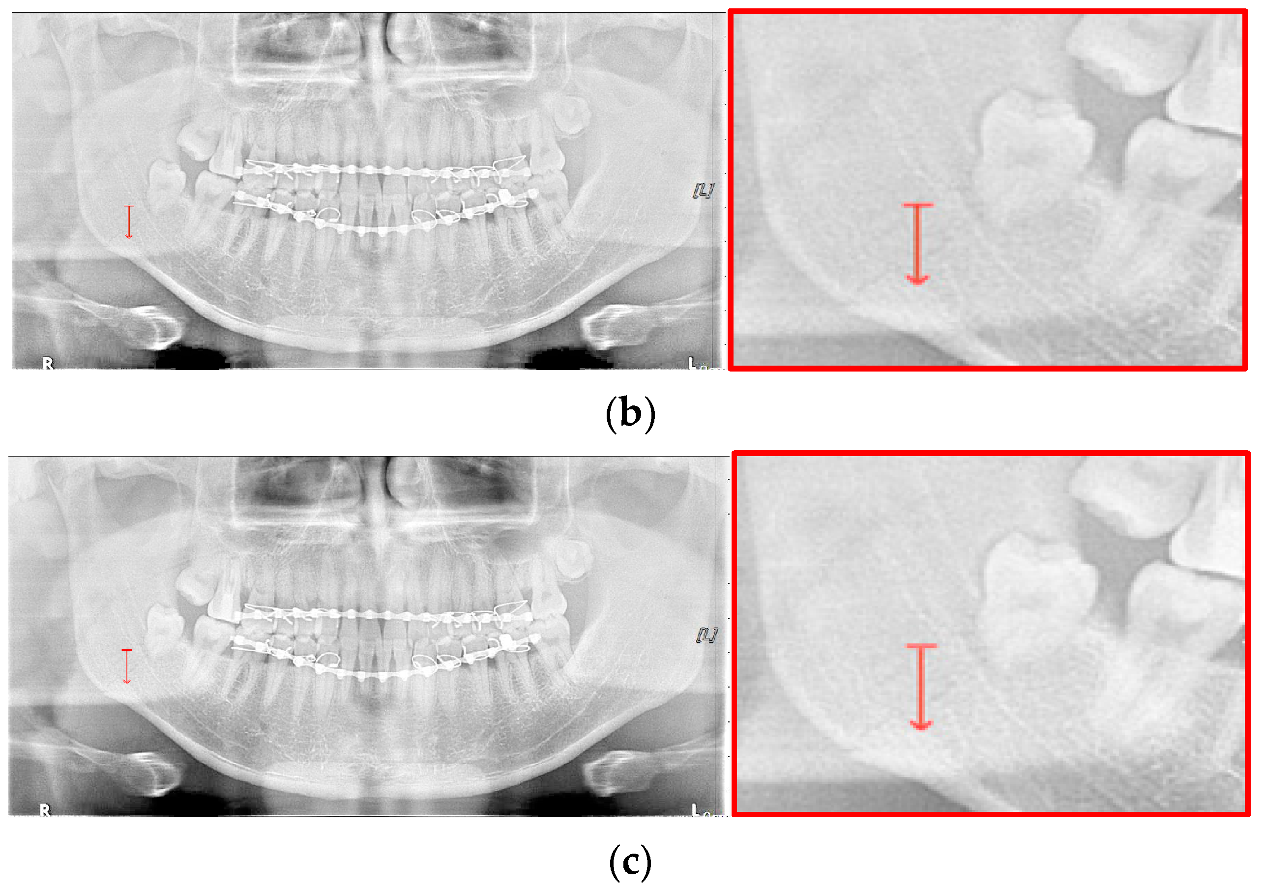 Life 12 01711 g014b Life 12 01711 g014b
