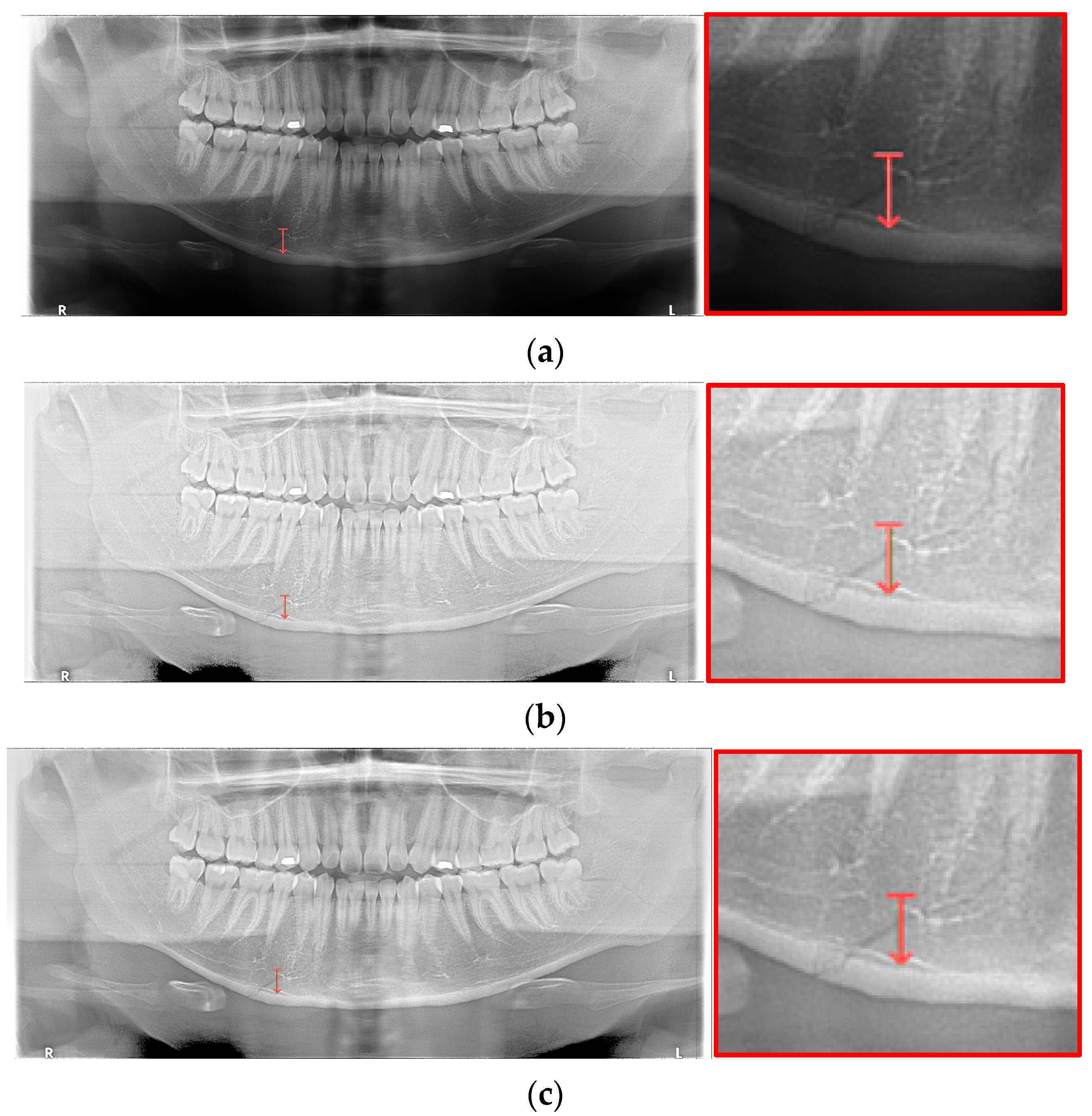 Life 12 01711 g015 Life 12 01711 g015